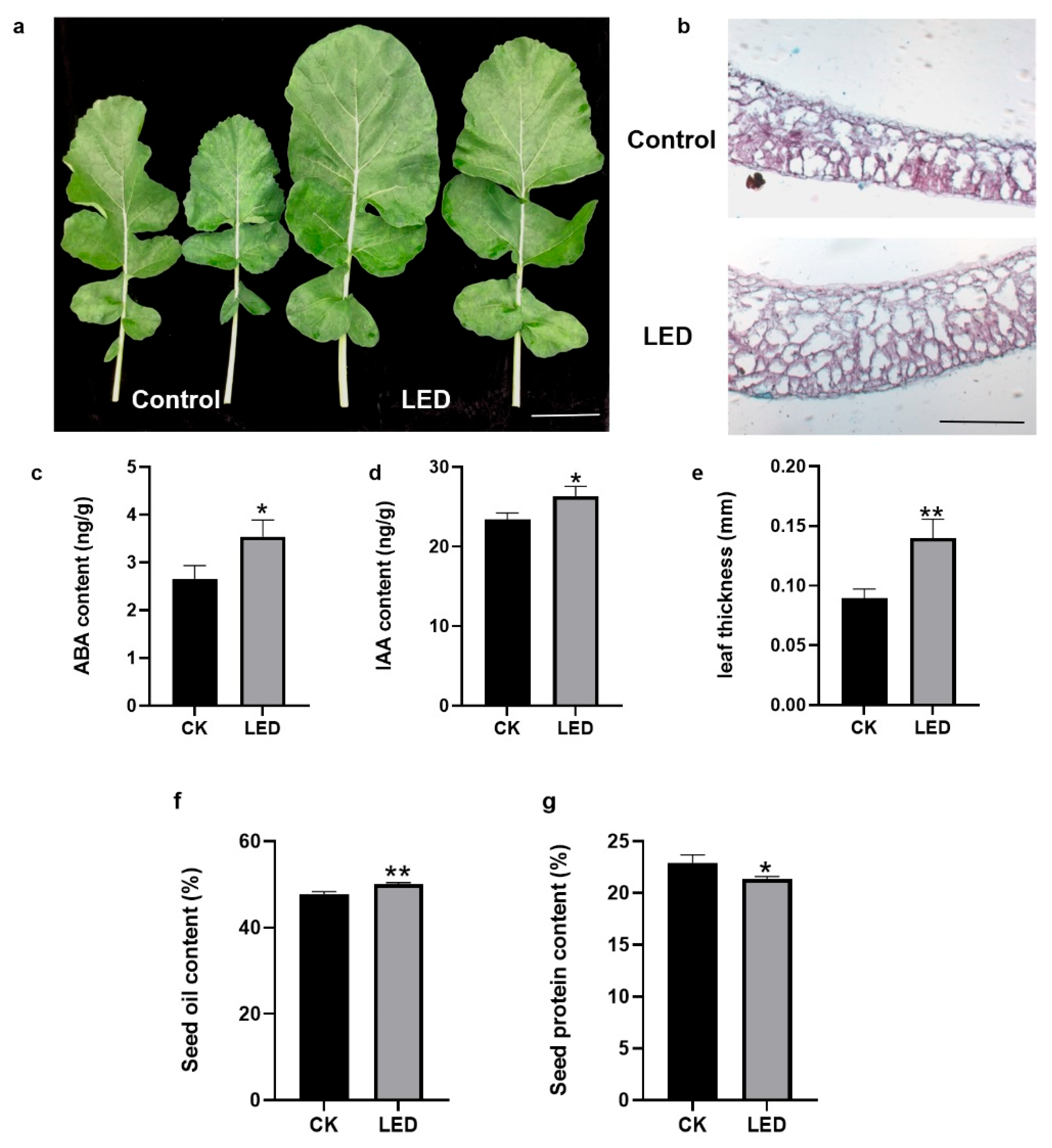 Preprints 116291 g002