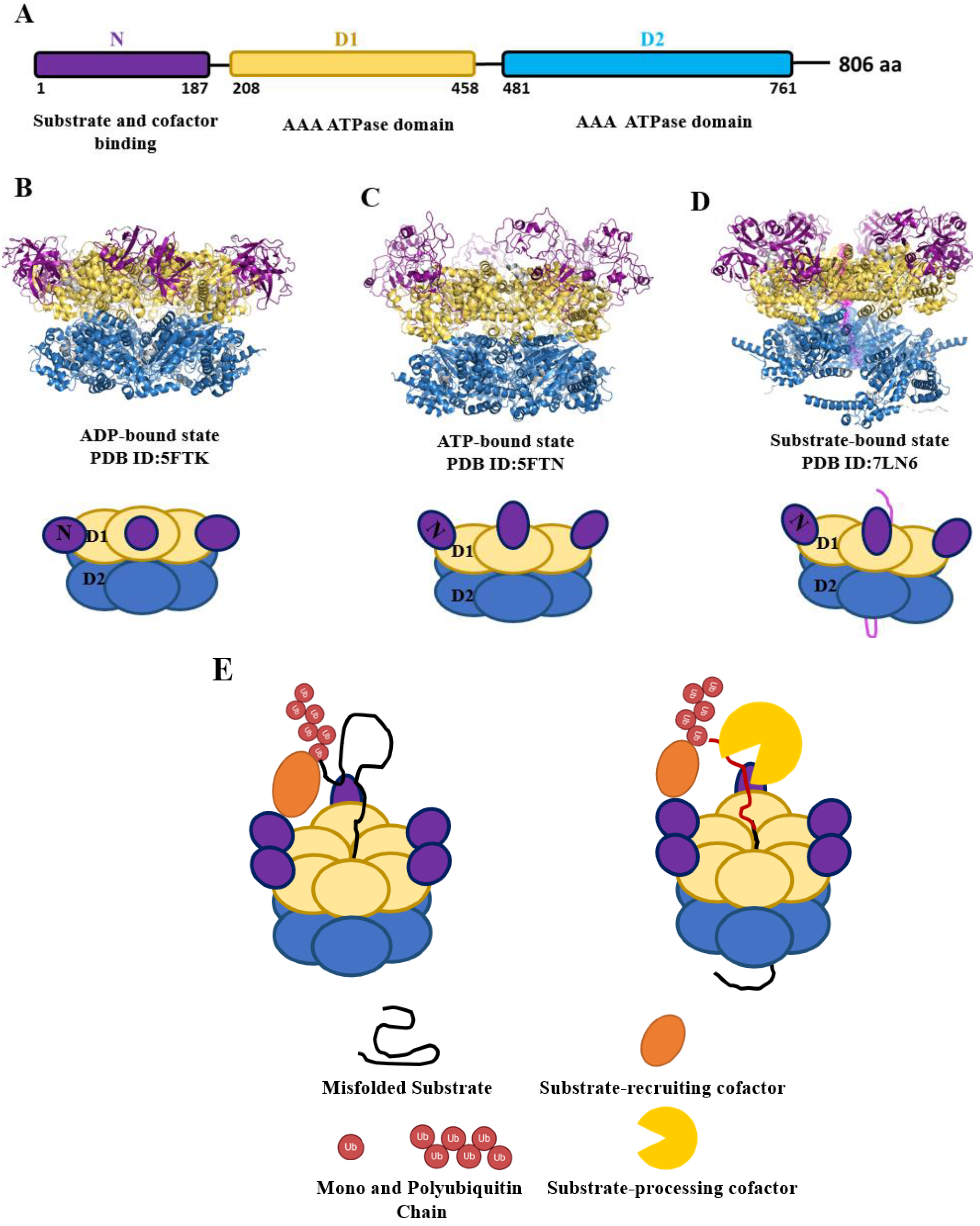 Preprints 118288 g001