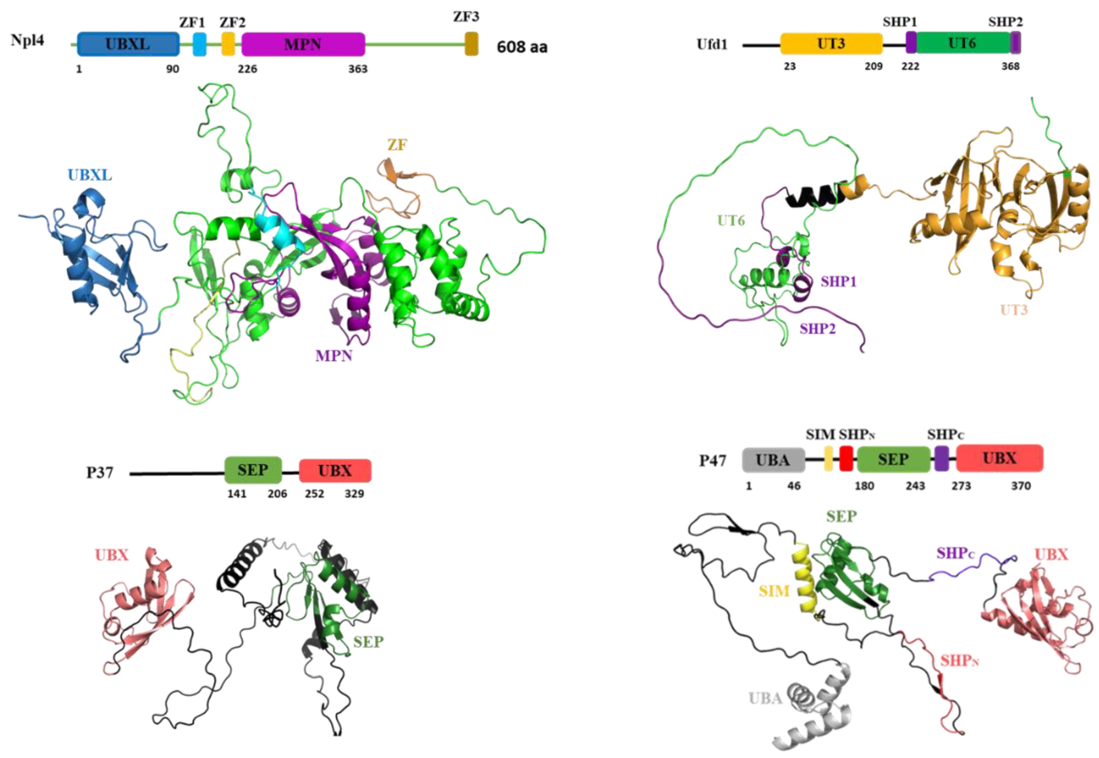 Preprints 118288 g002