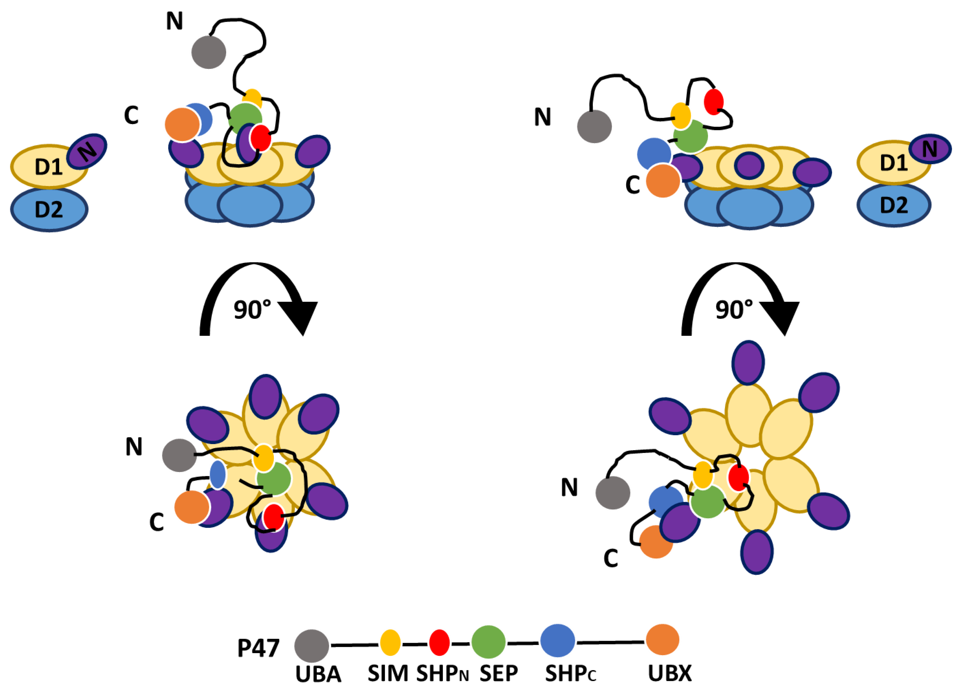 Preprints 118288 g003