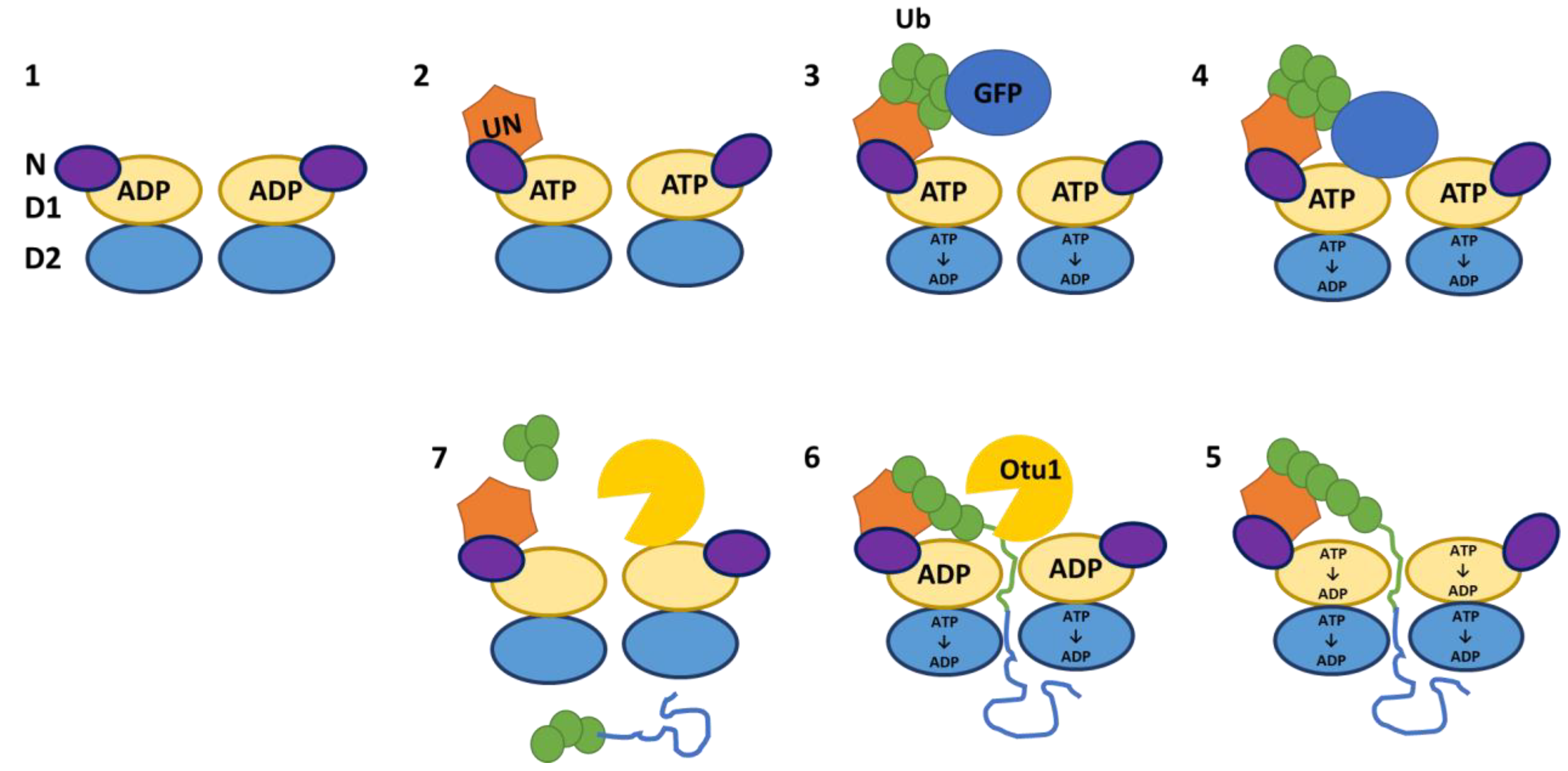 Preprints 118288 g005