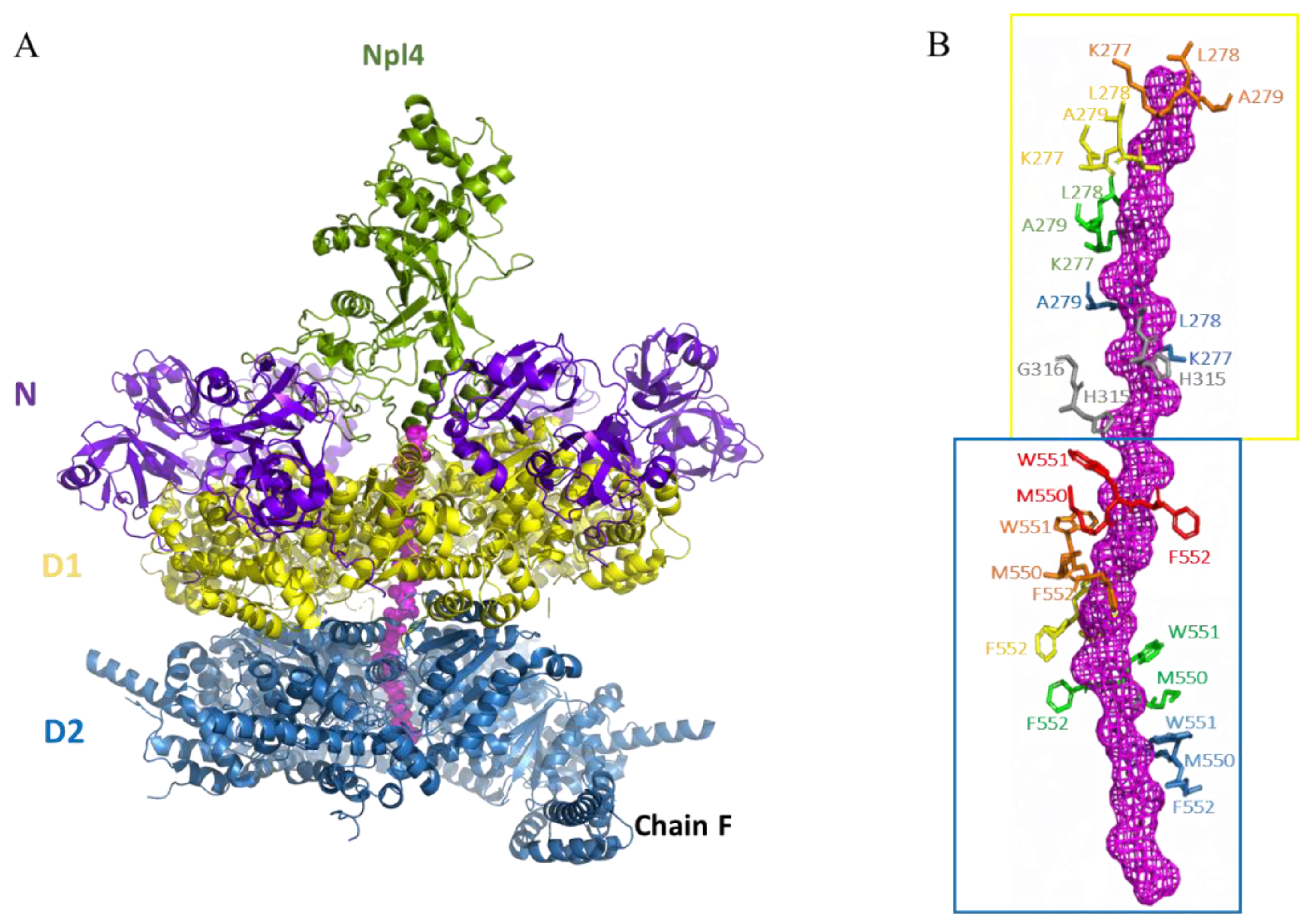 Preprints 118288 g006