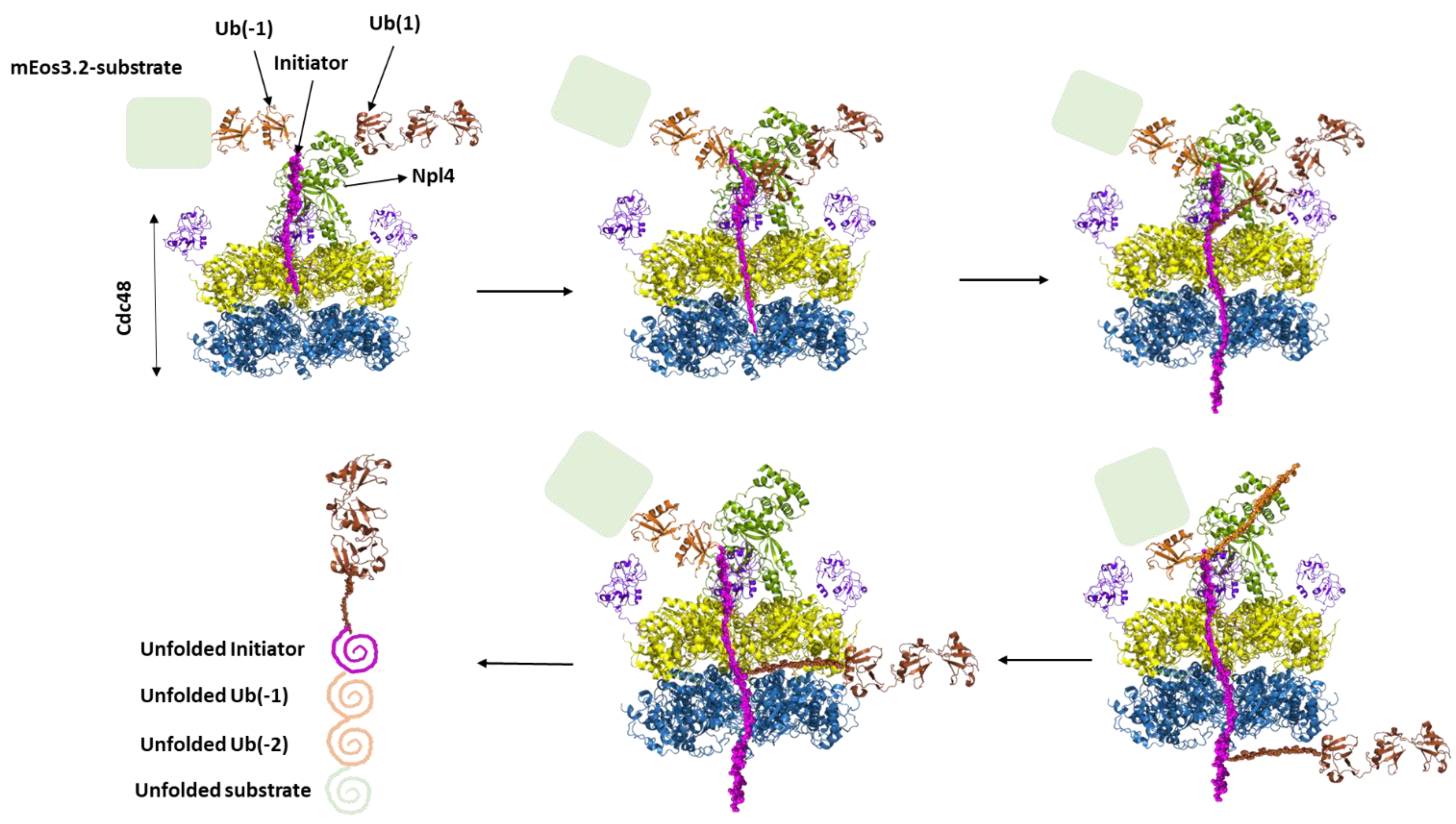 Preprints 118288 g007