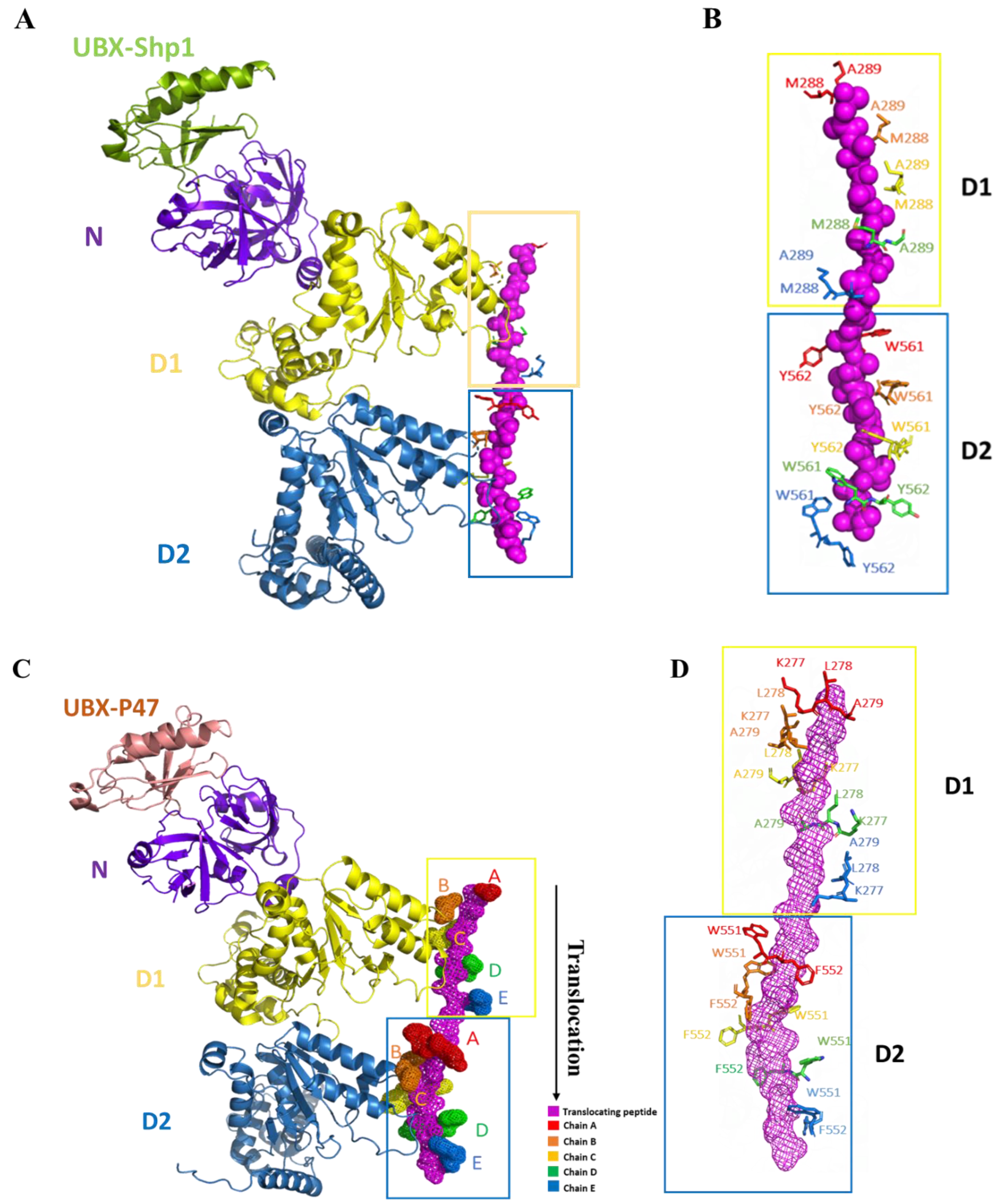 Preprints 118288 g008