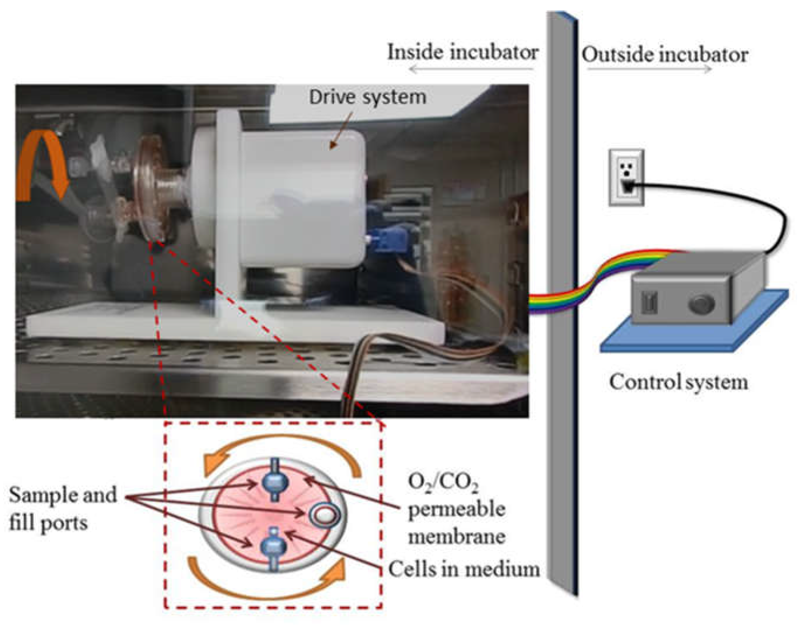 Preprints 77105 g001