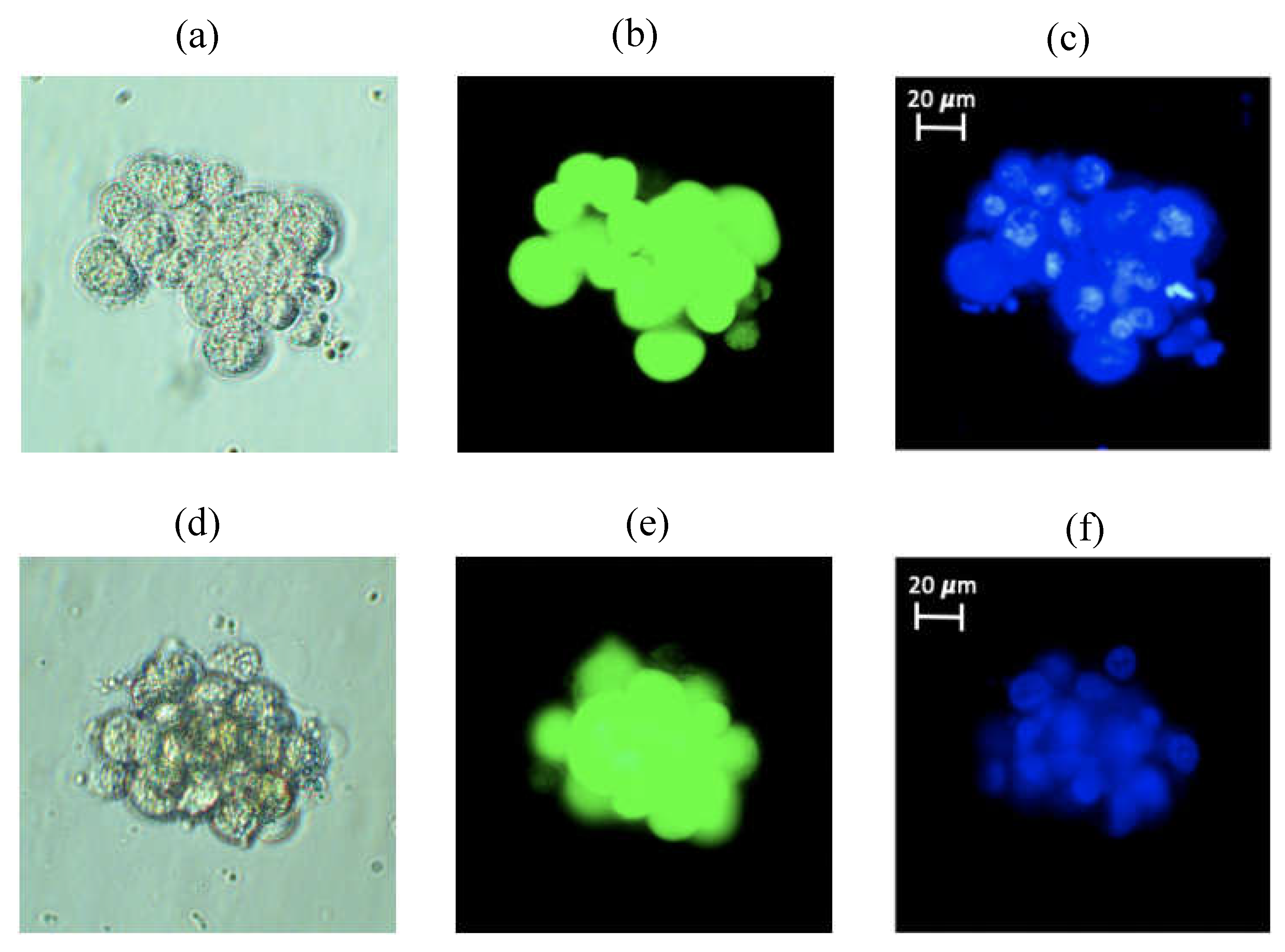 Preprints 77105 g002