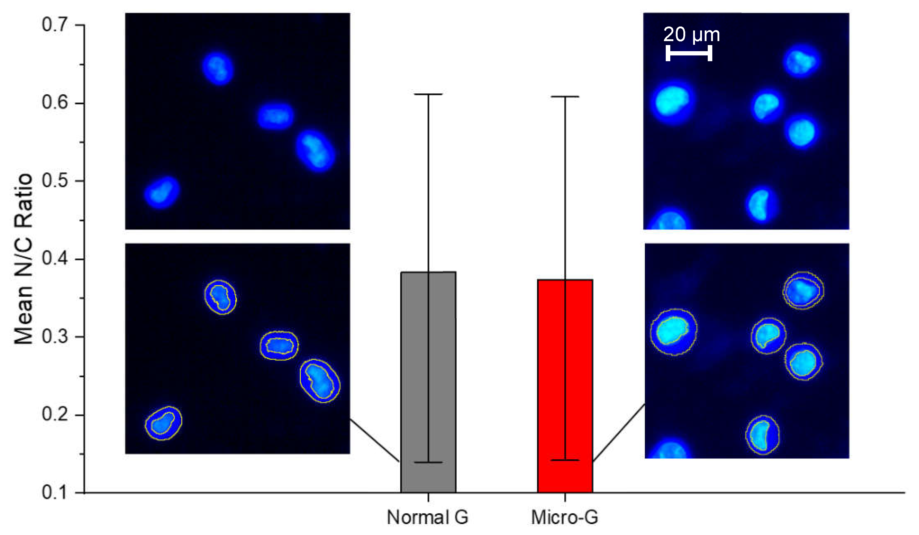 Preprints 77105 g003