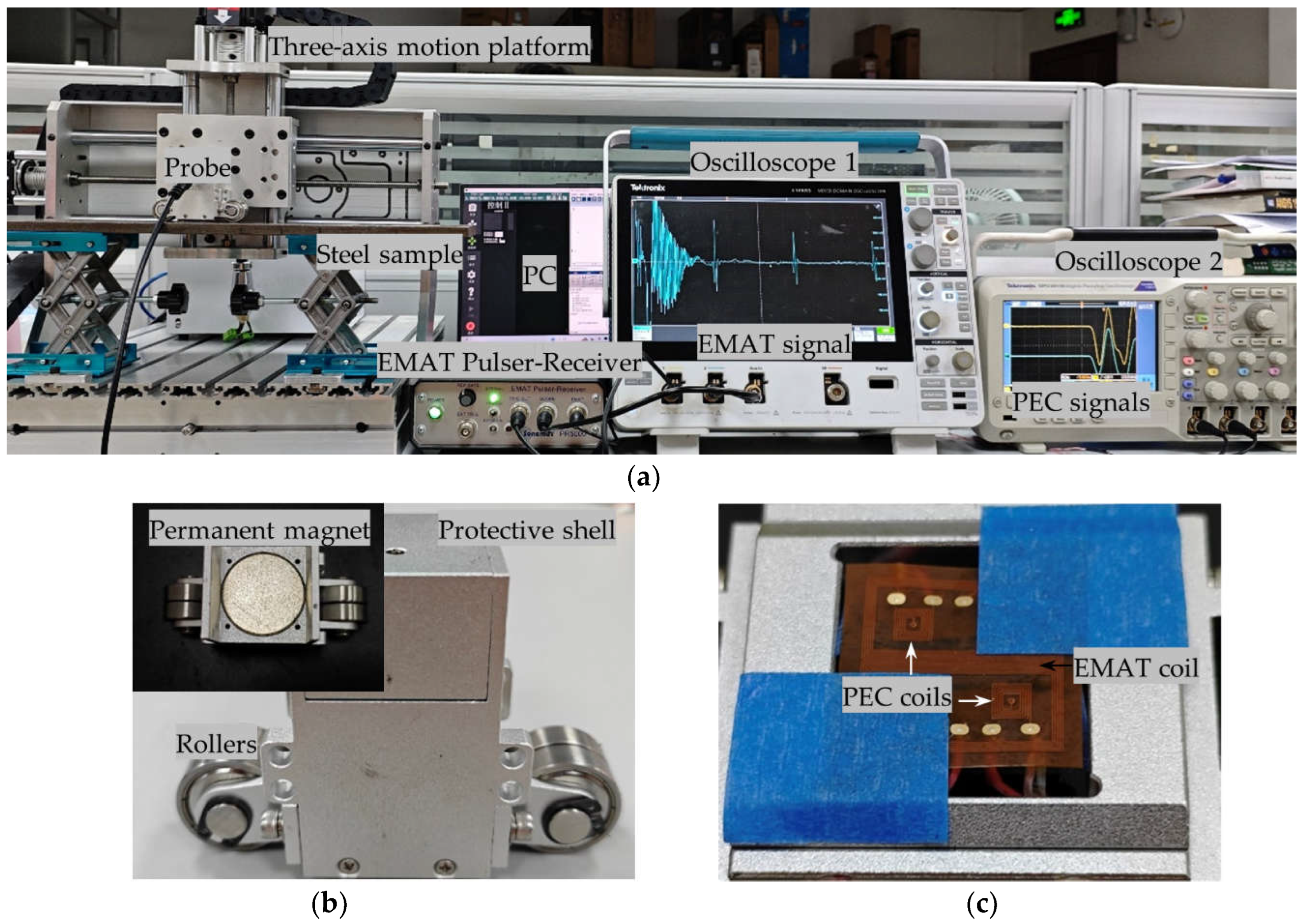 Preprints 113368 g013