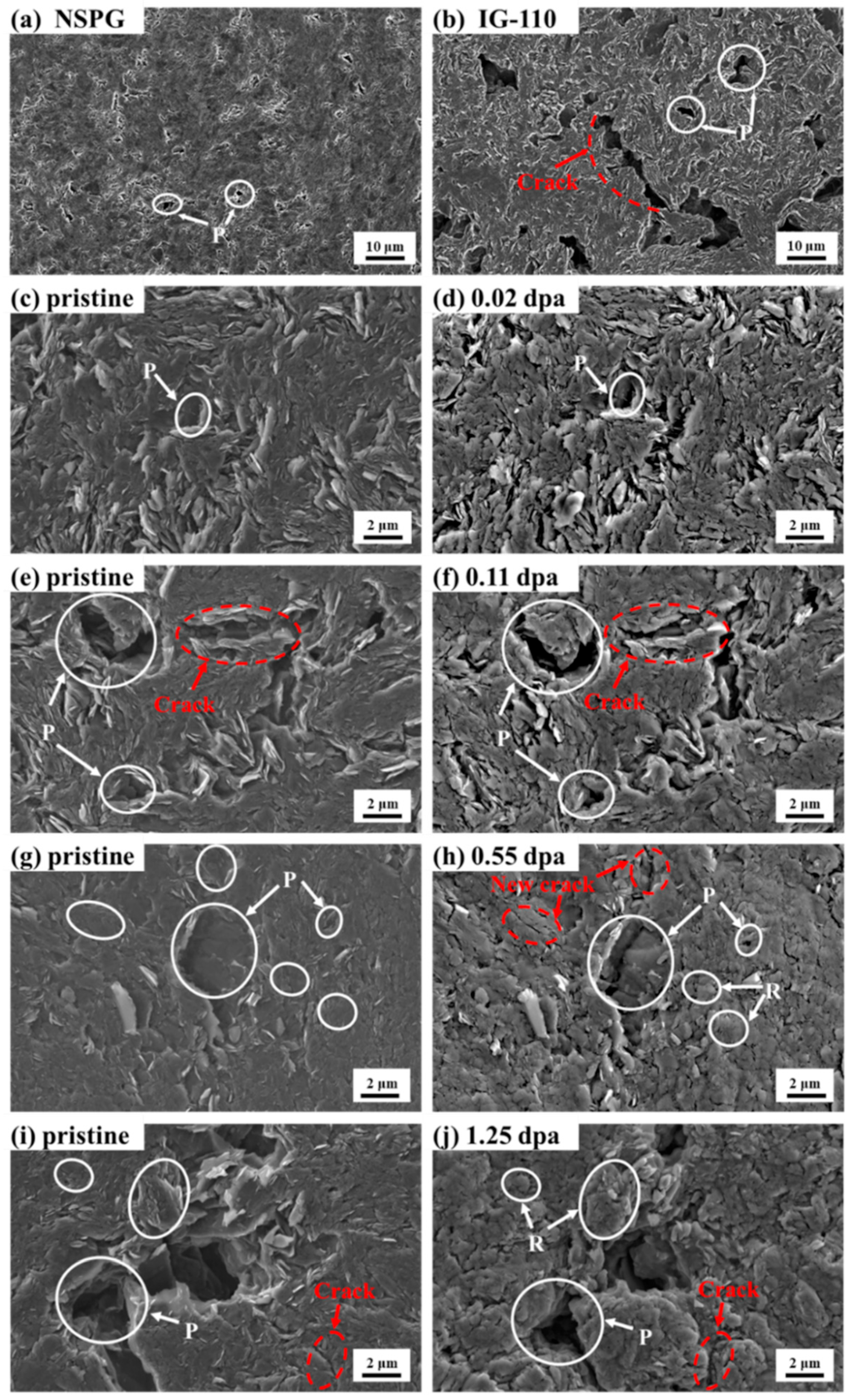 Preprints 103688 g003