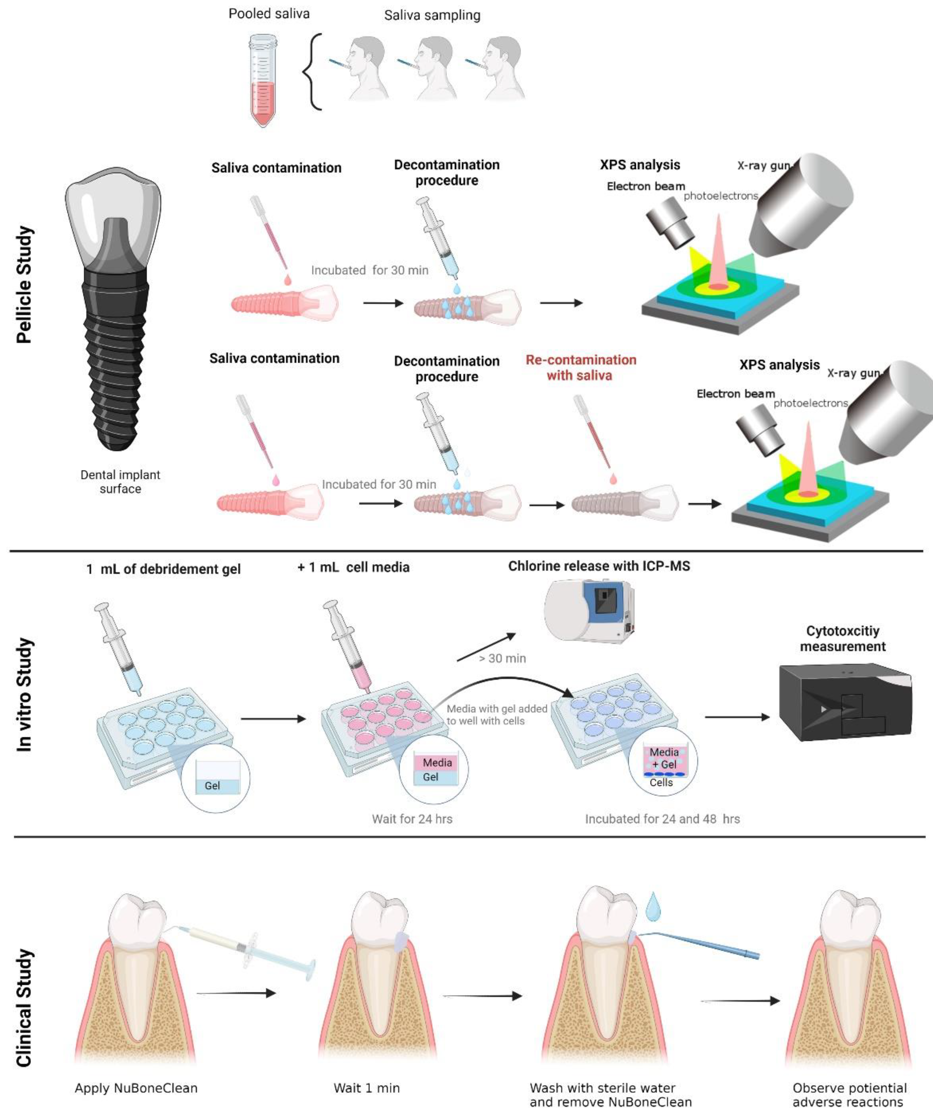 Preprints 77512 g001