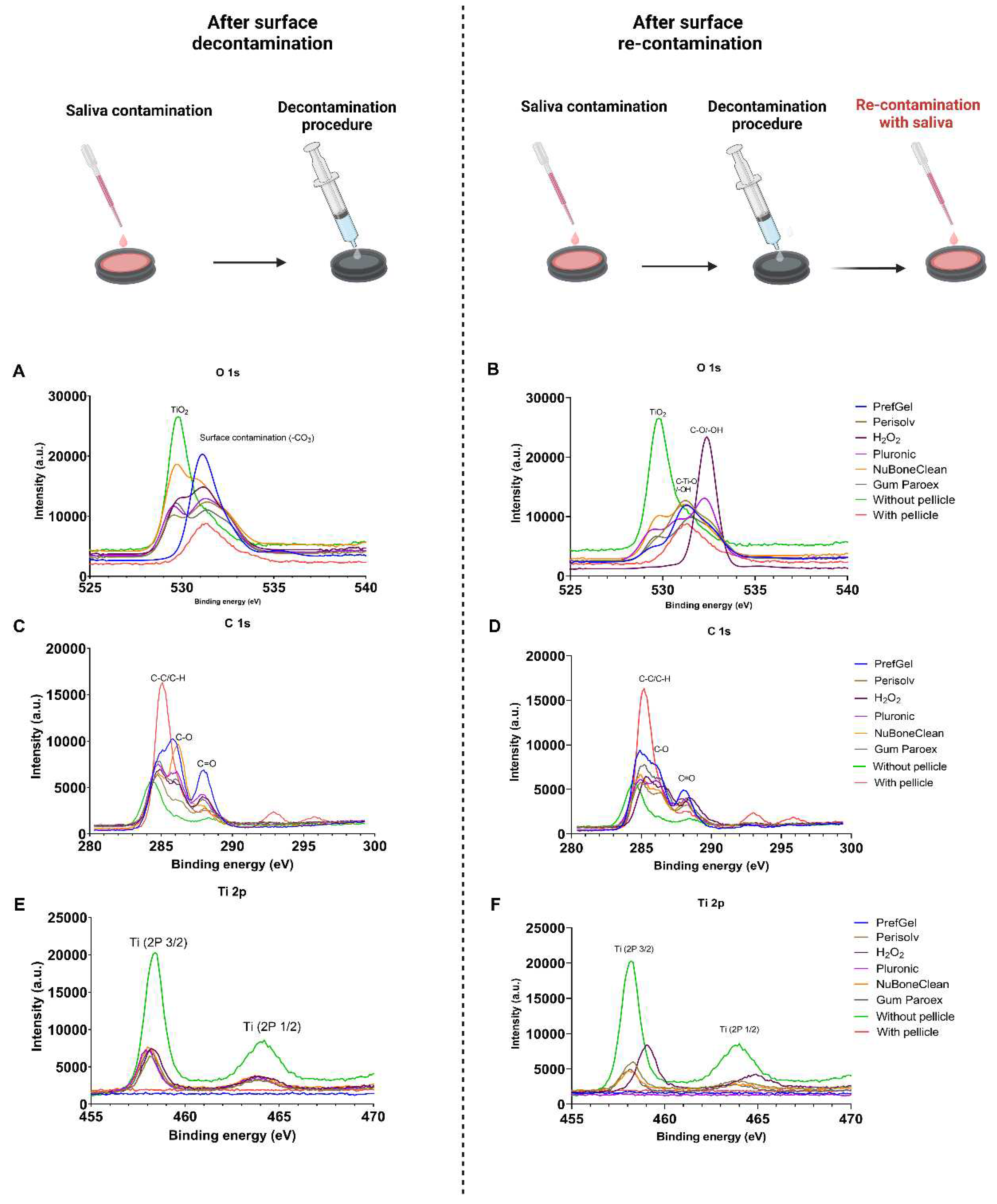 Preprints 77512 g002