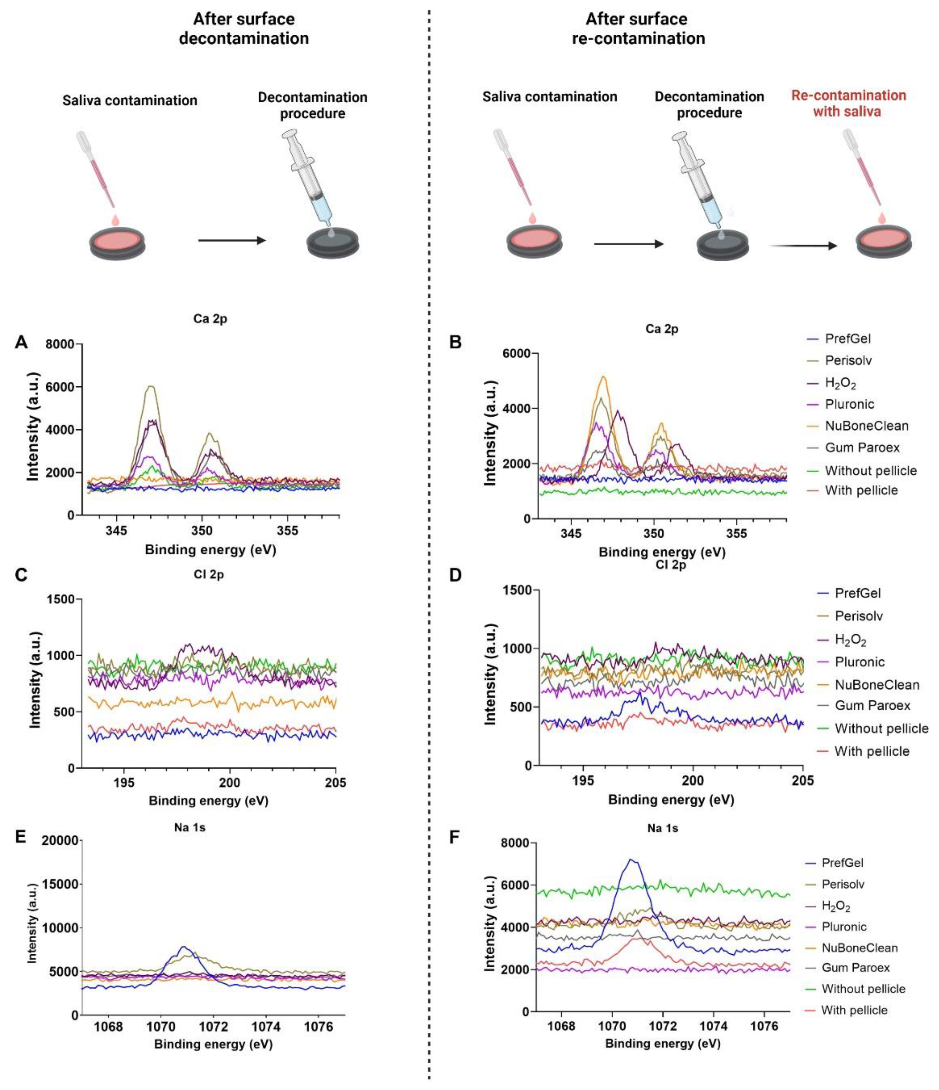 Preprints 77512 g003