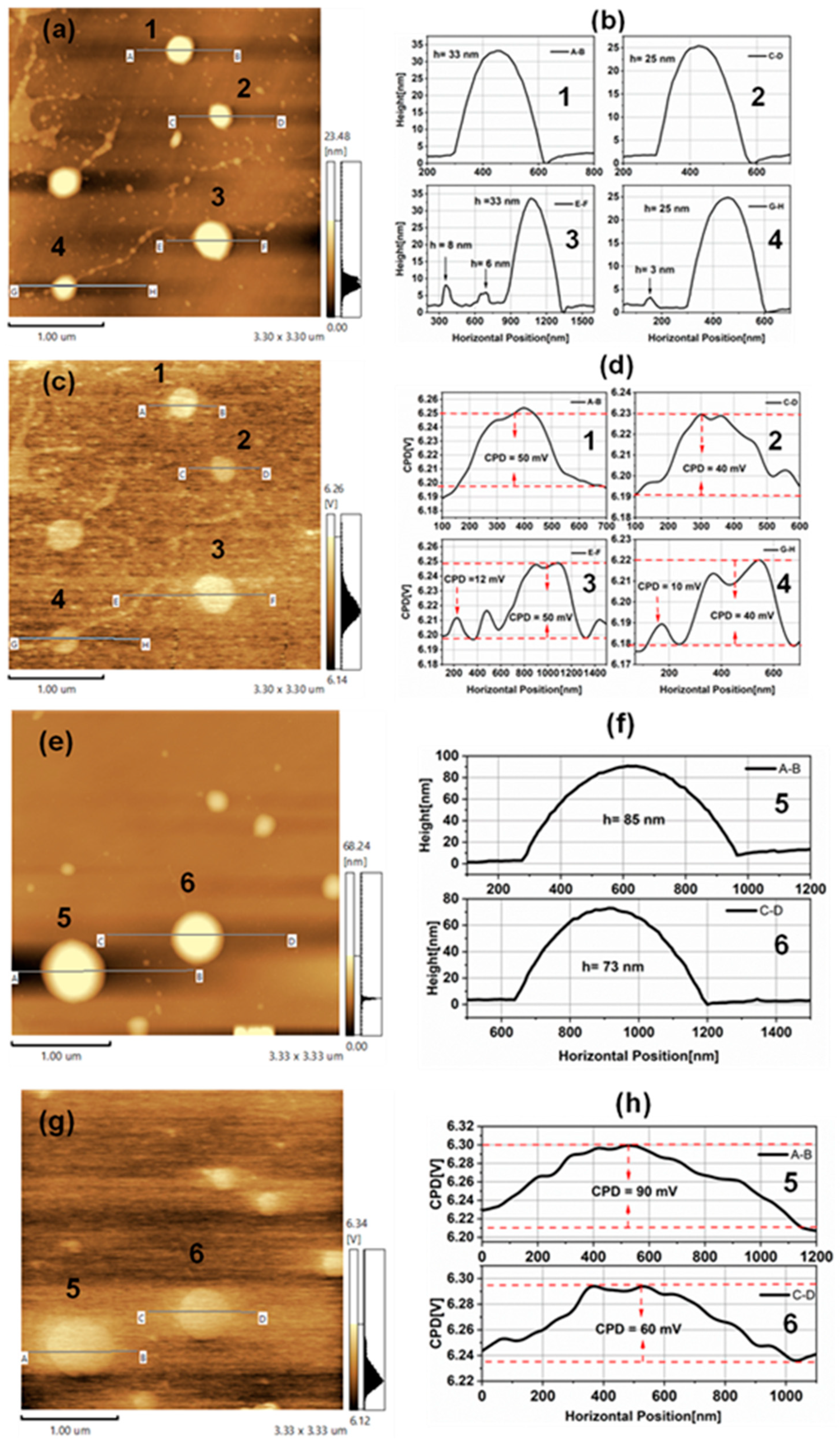 Preprints 119135 g002