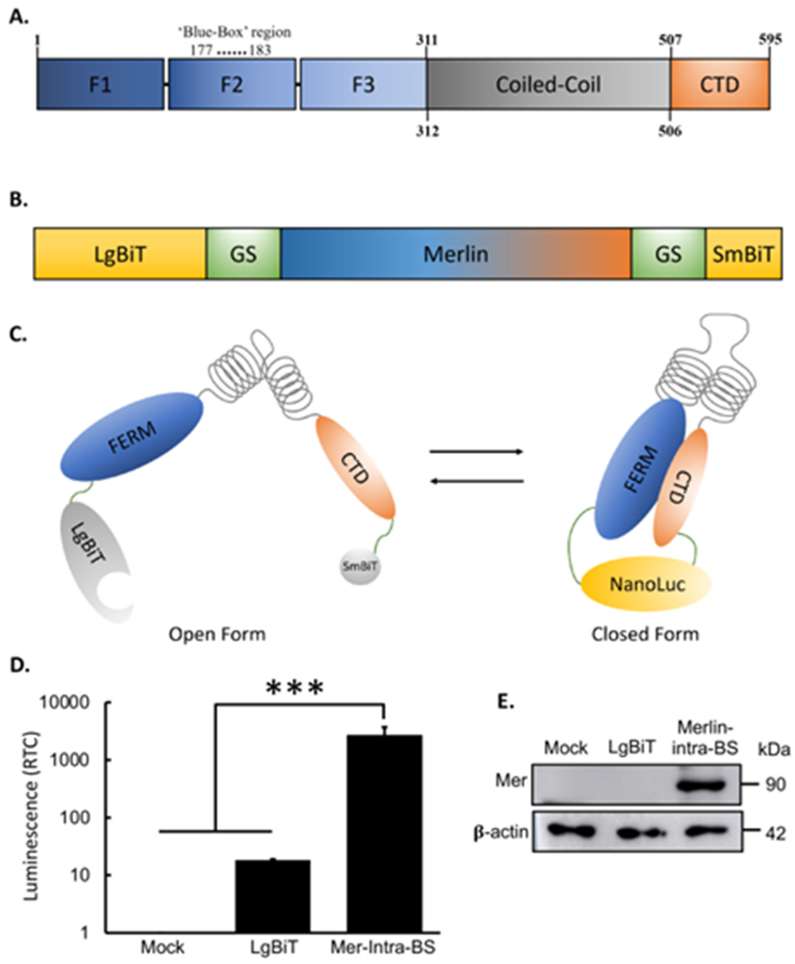 Preprints 94676 g001