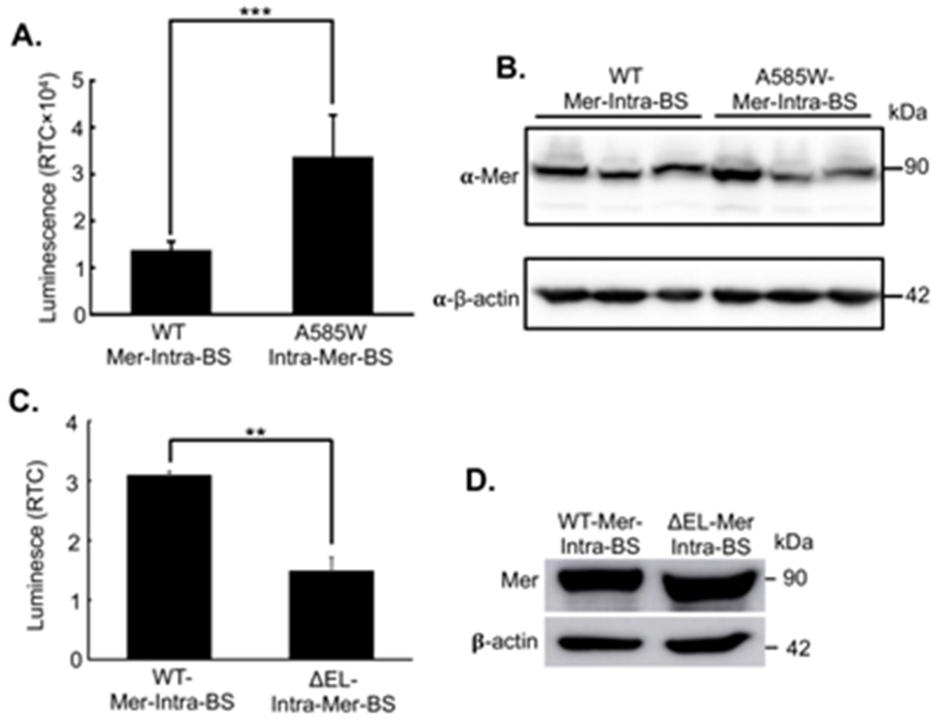 Preprints 94676 g002