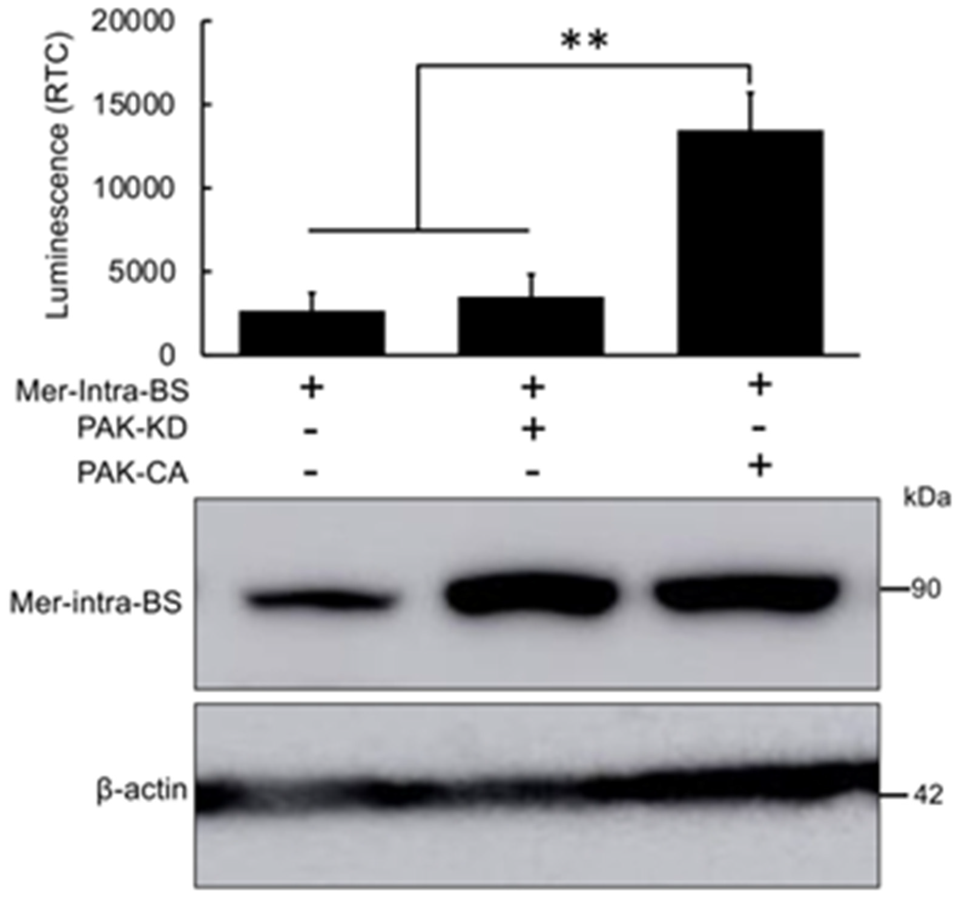 Preprints 94676 g003