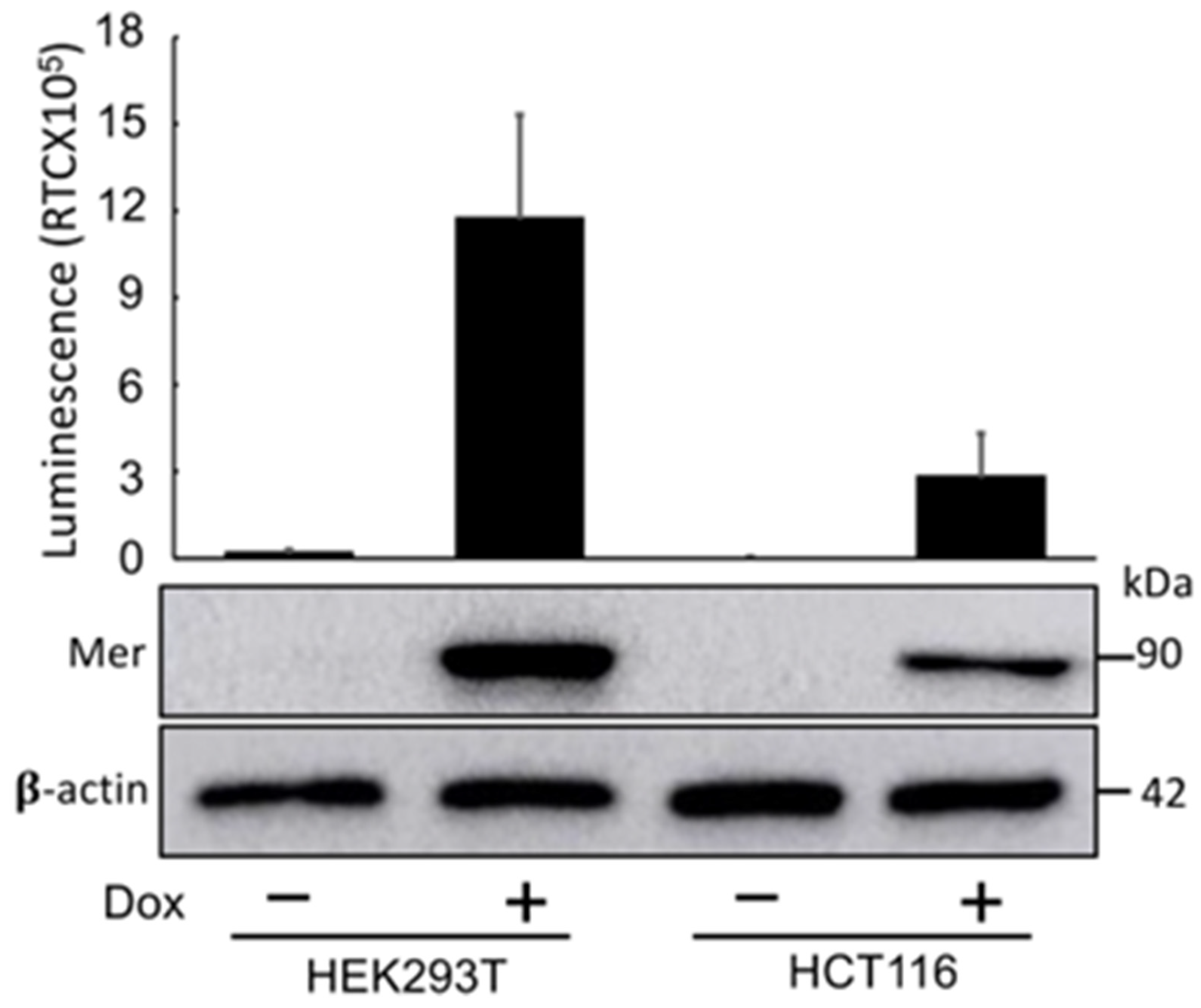 Preprints 94676 g004