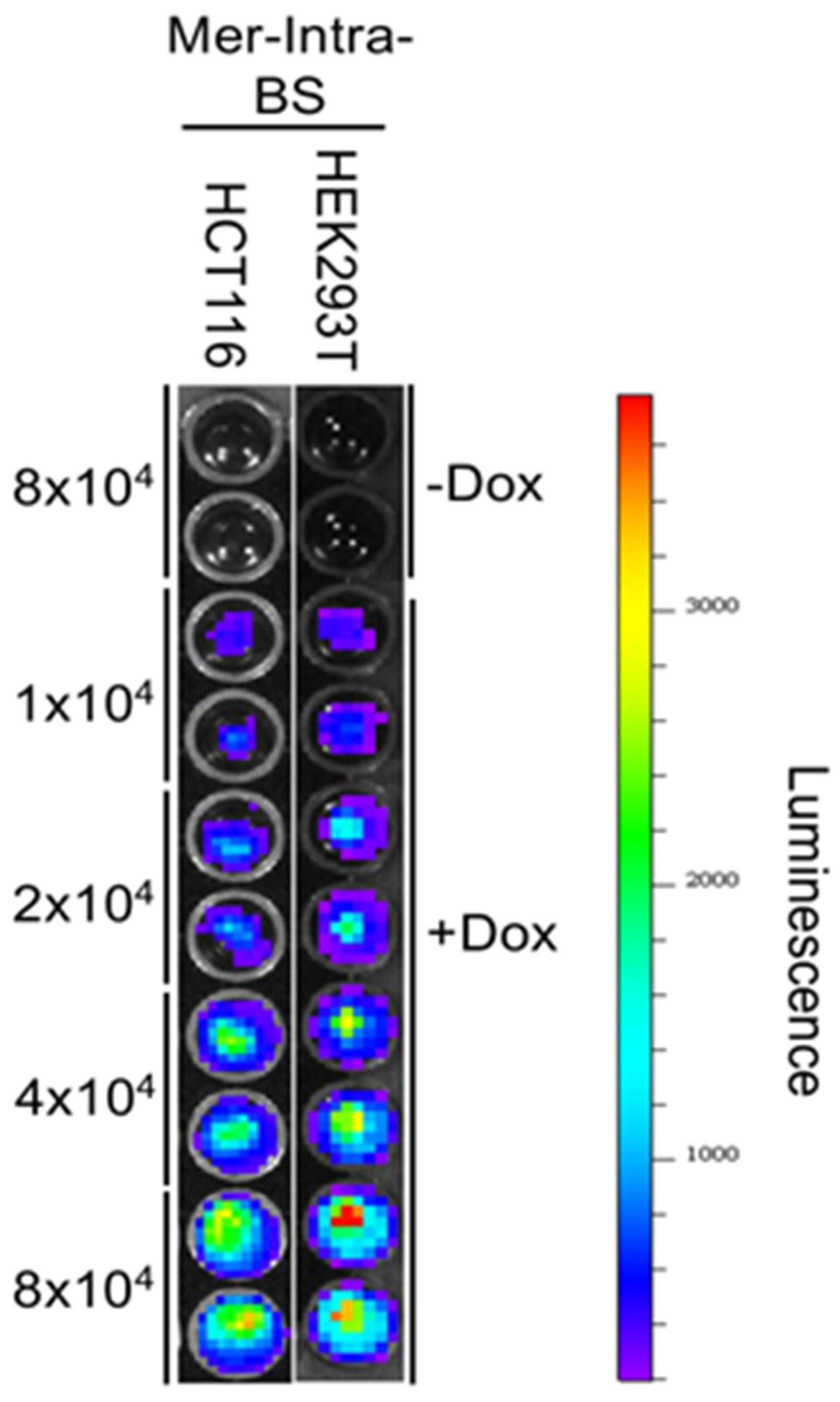 Preprints 94676 g005