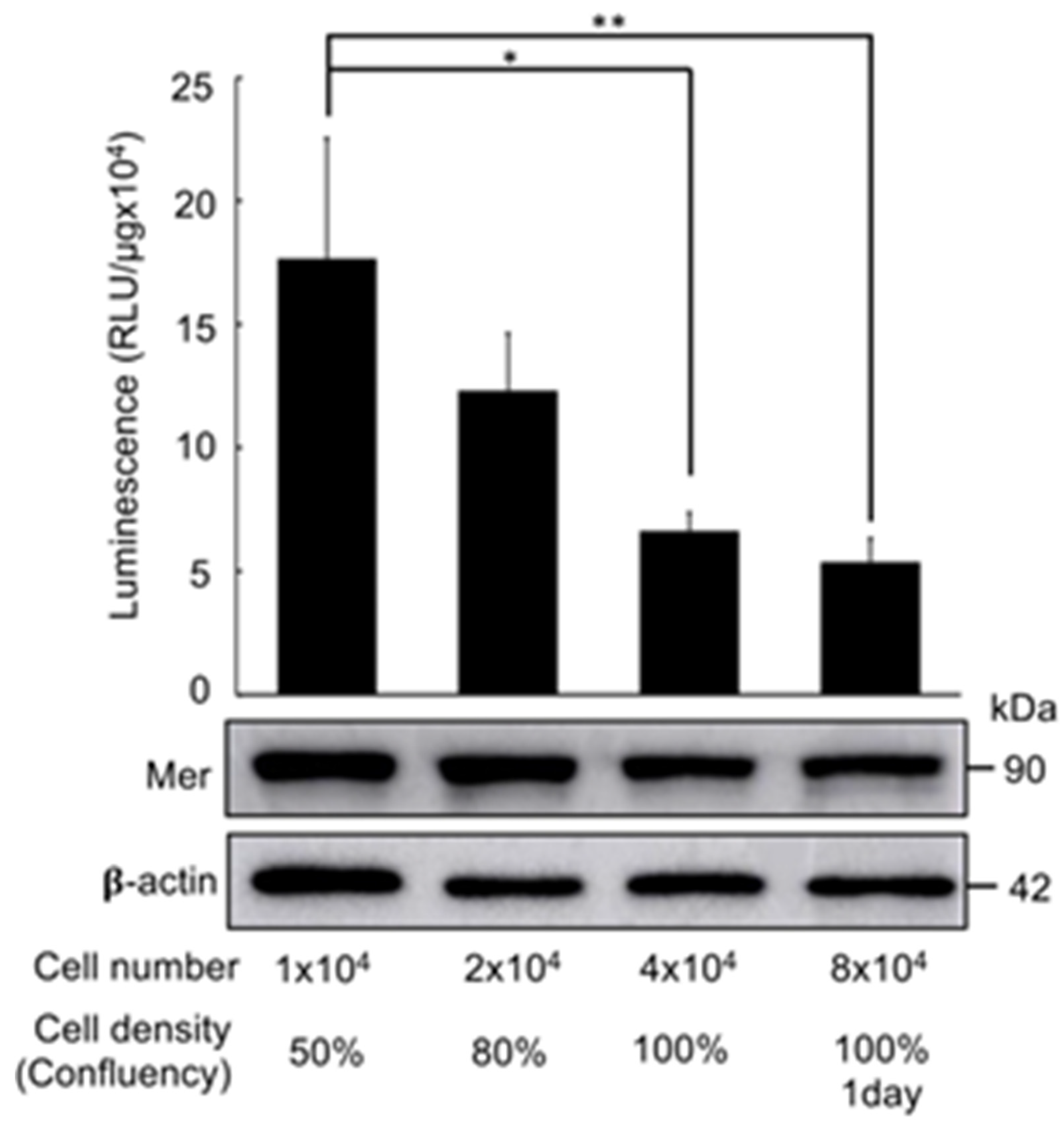 Preprints 94676 g006