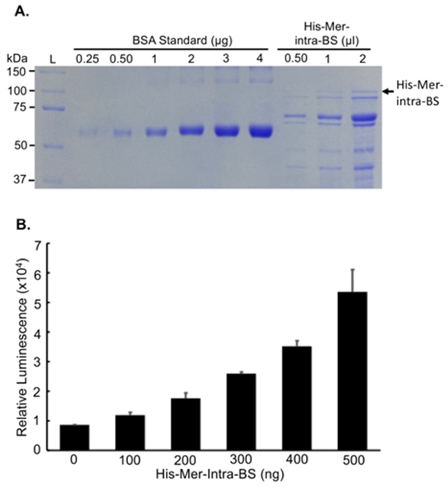 Preprints 94676 g007