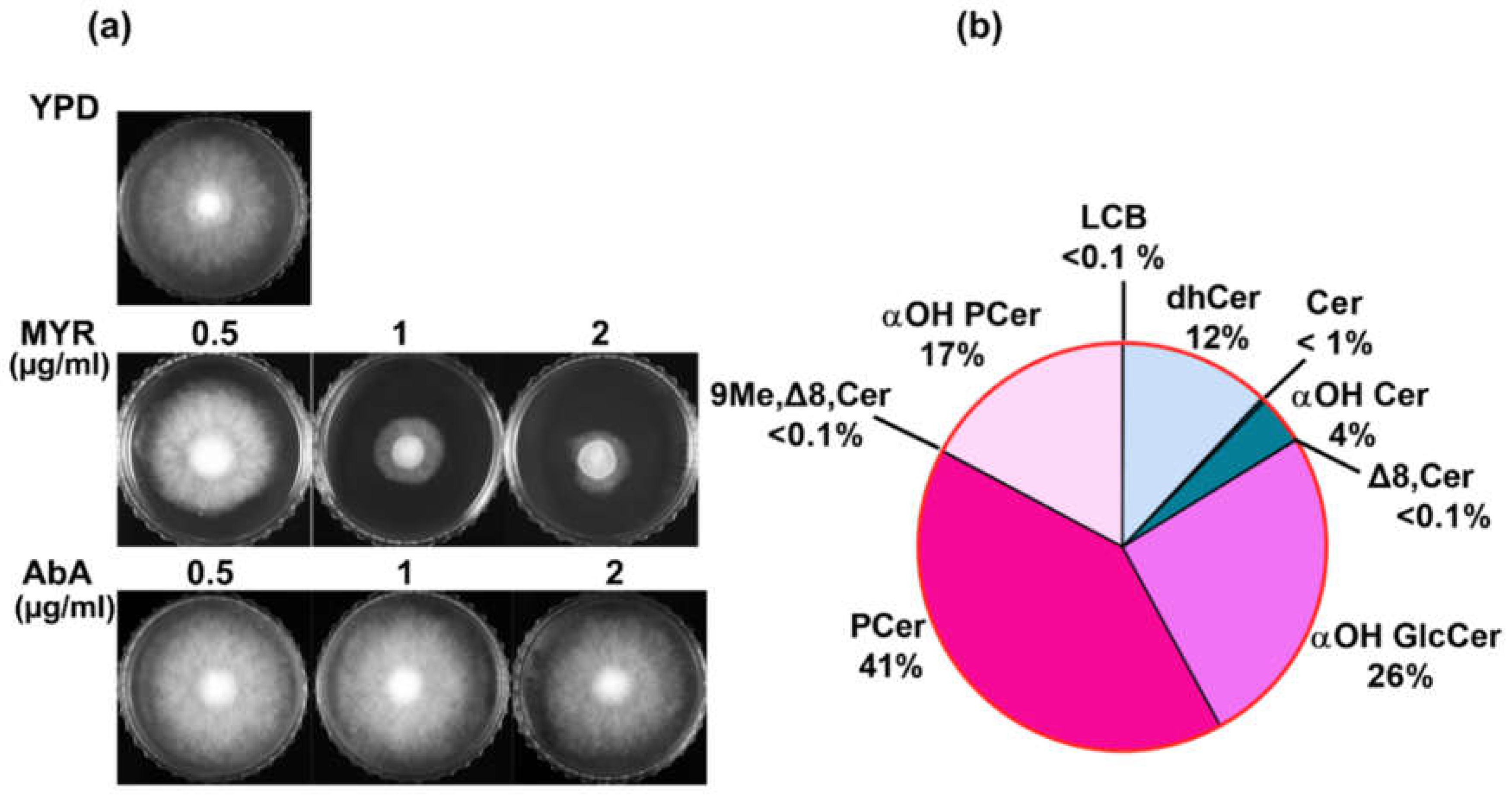 Preprints 117143 g001