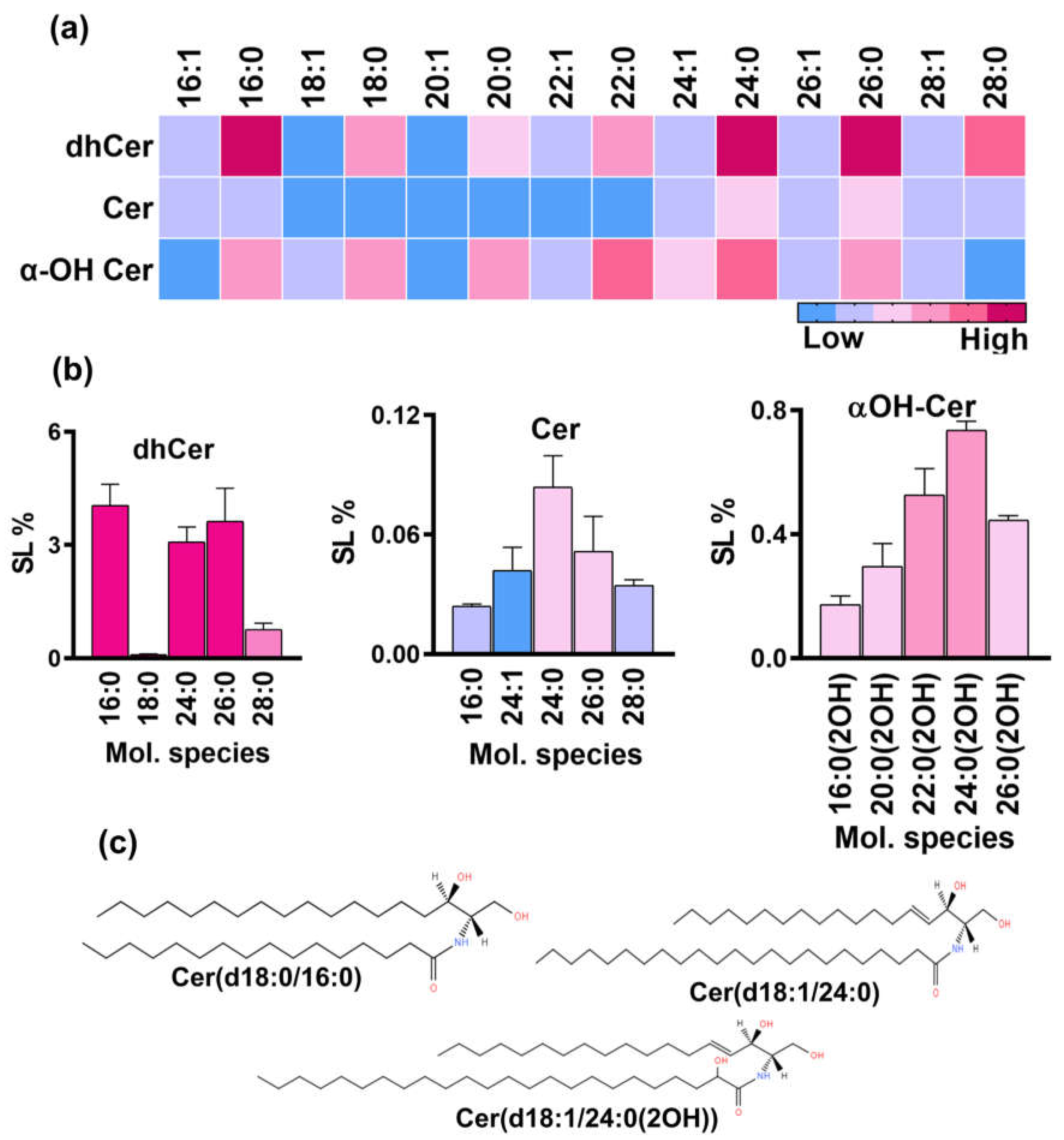 Preprints 117143 g003