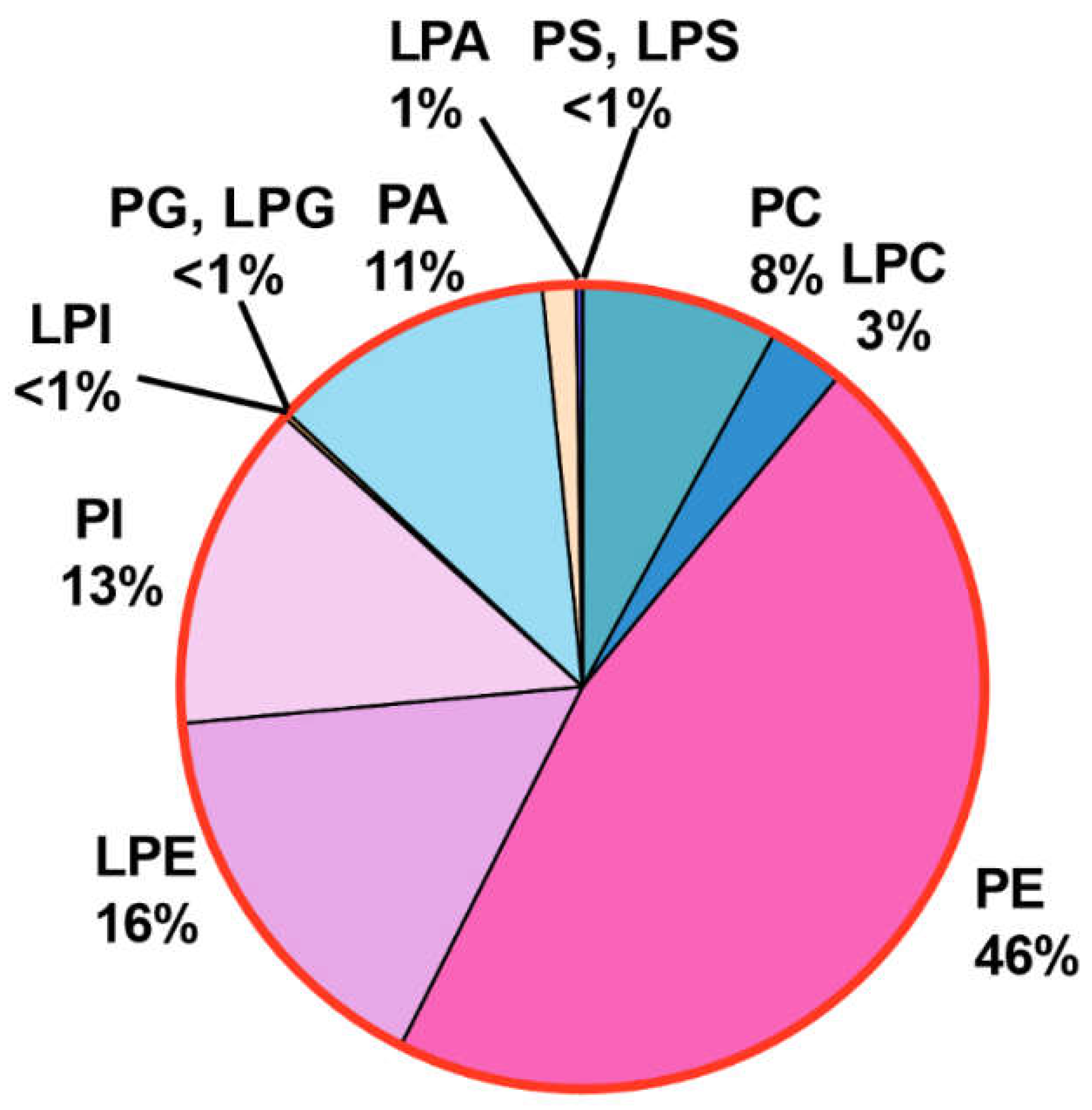 Preprints 117143 g007