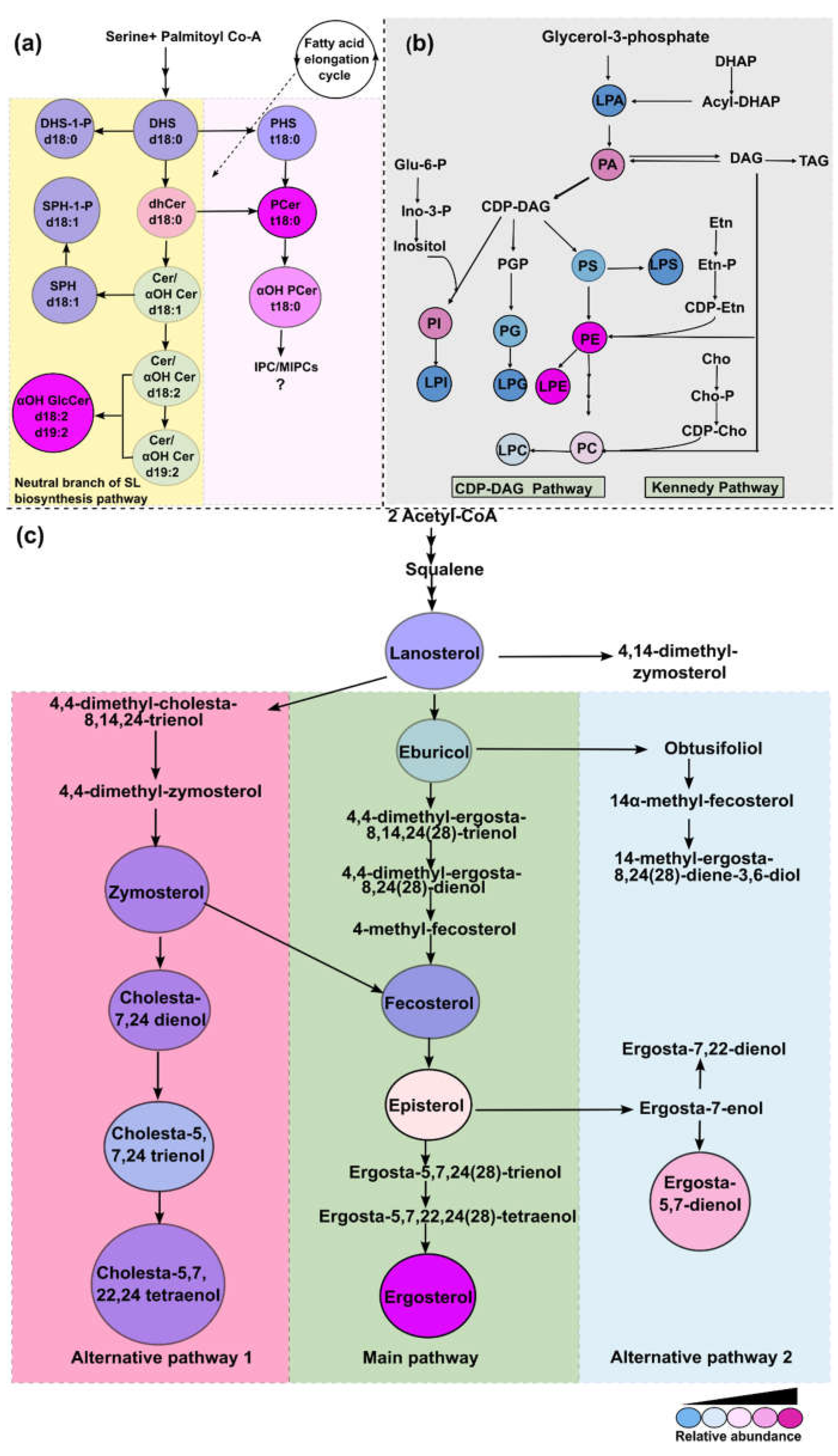 Preprints 117143 g011