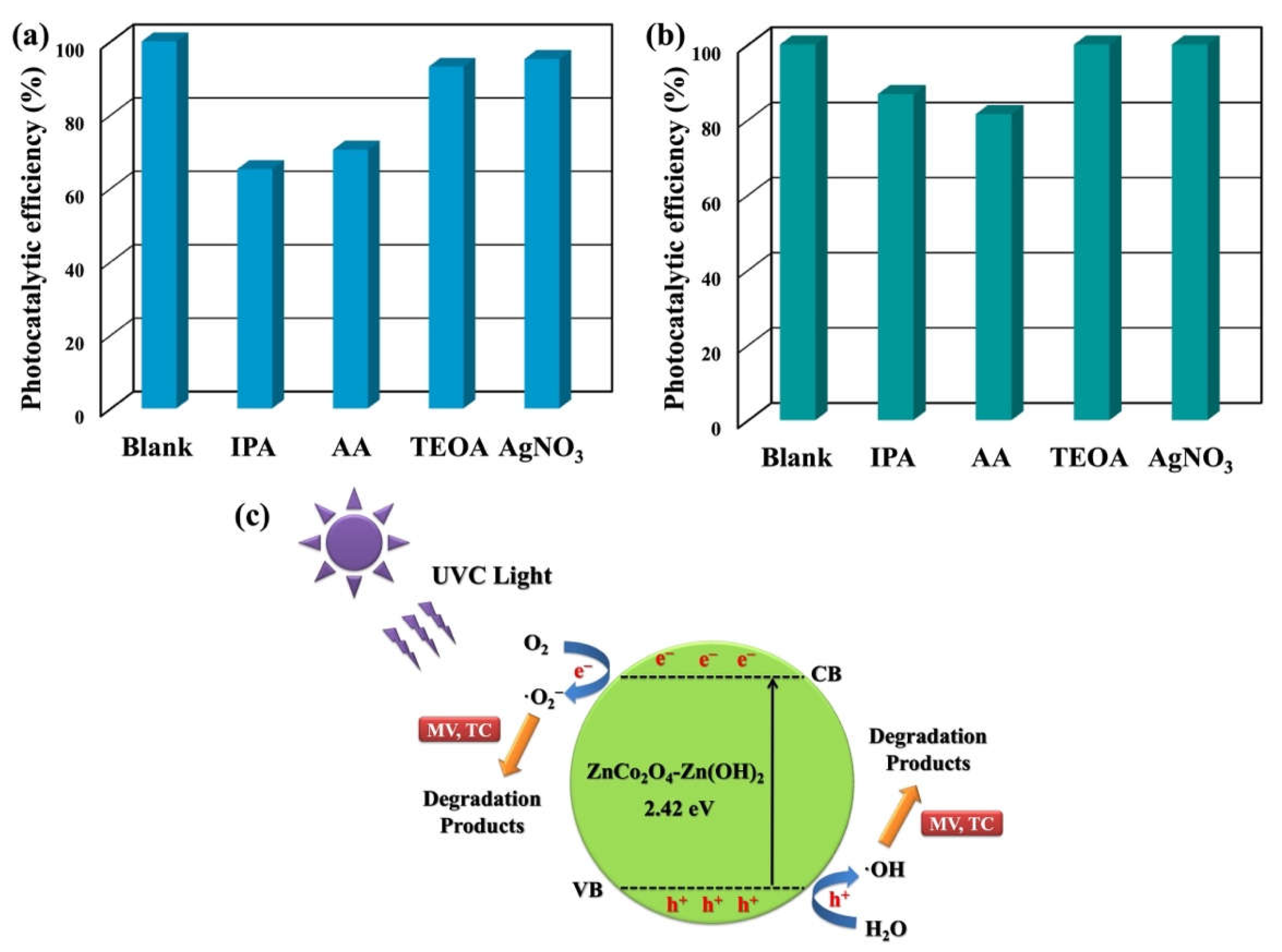 Preprints 113301 g013