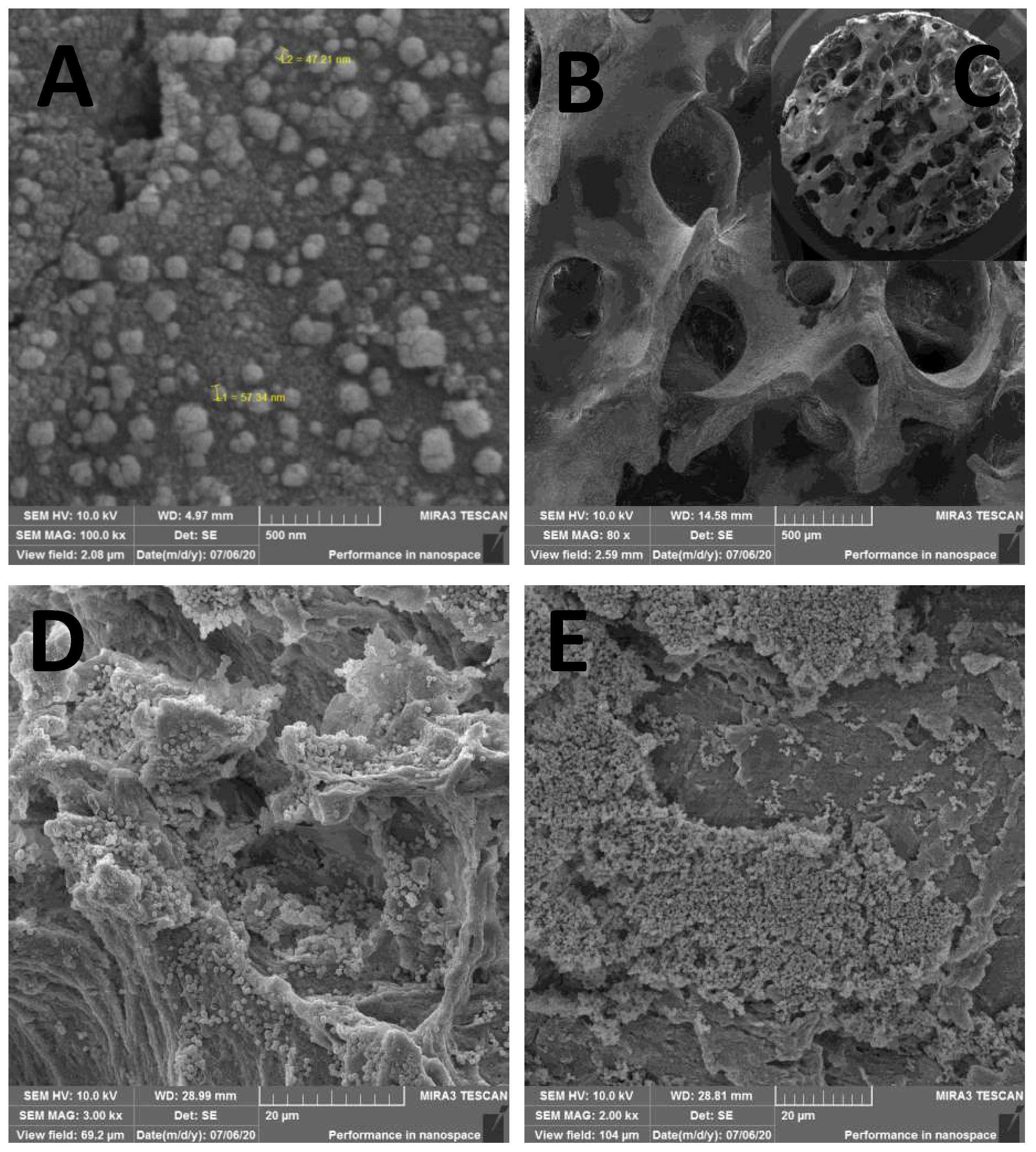 Preprints 86271 g003