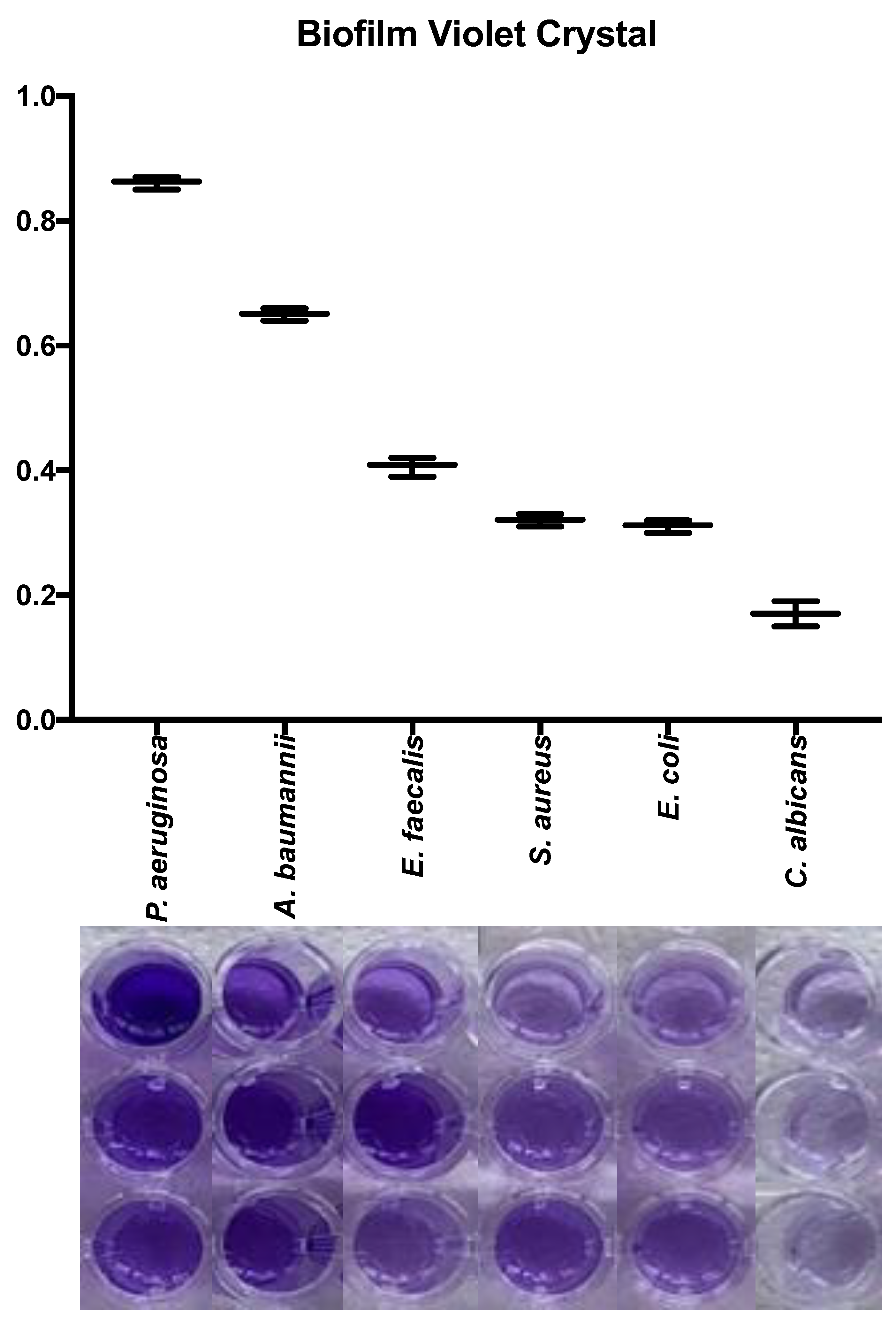 Preprints 86271 g004