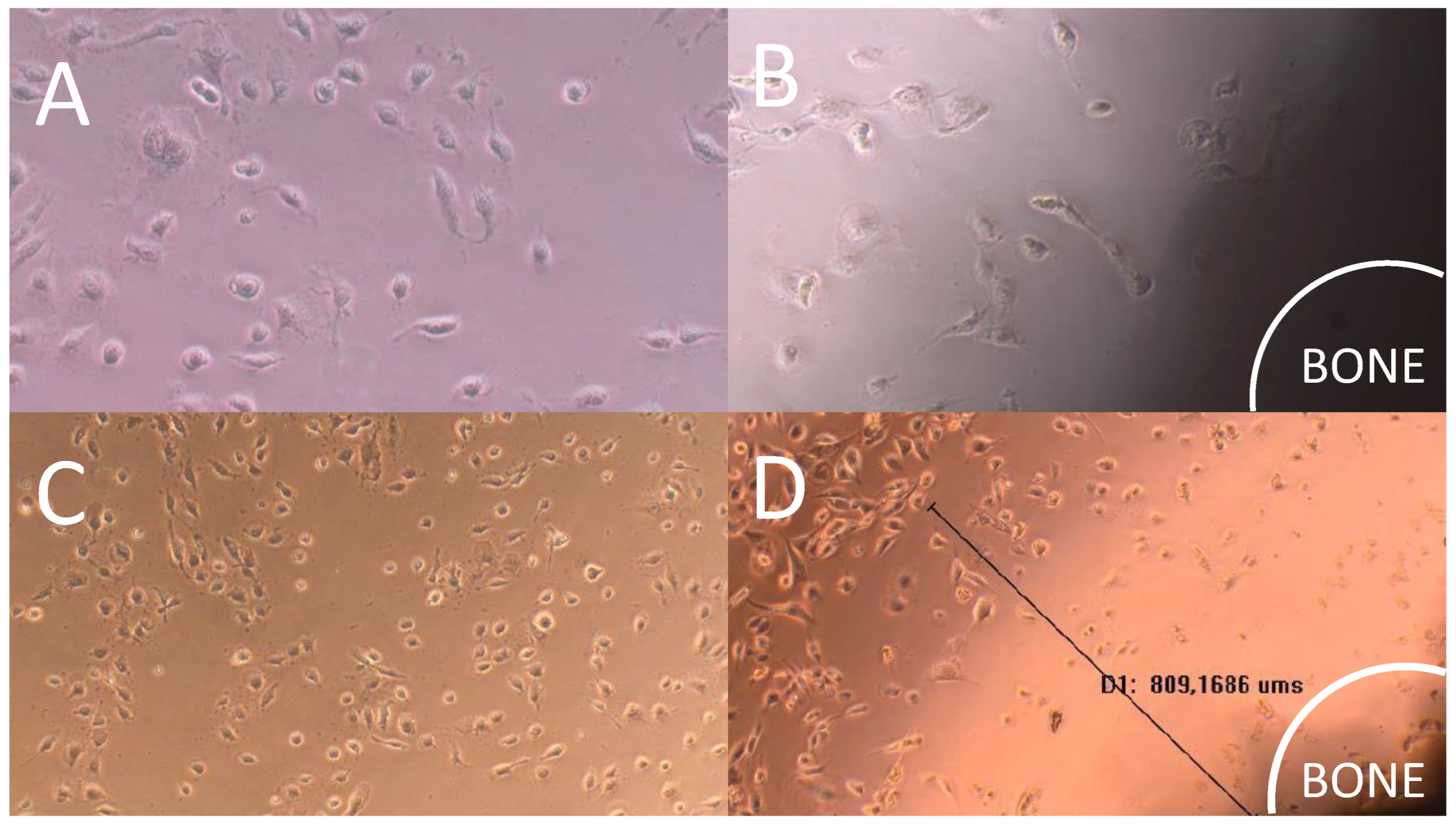 Preprints 86271 g007