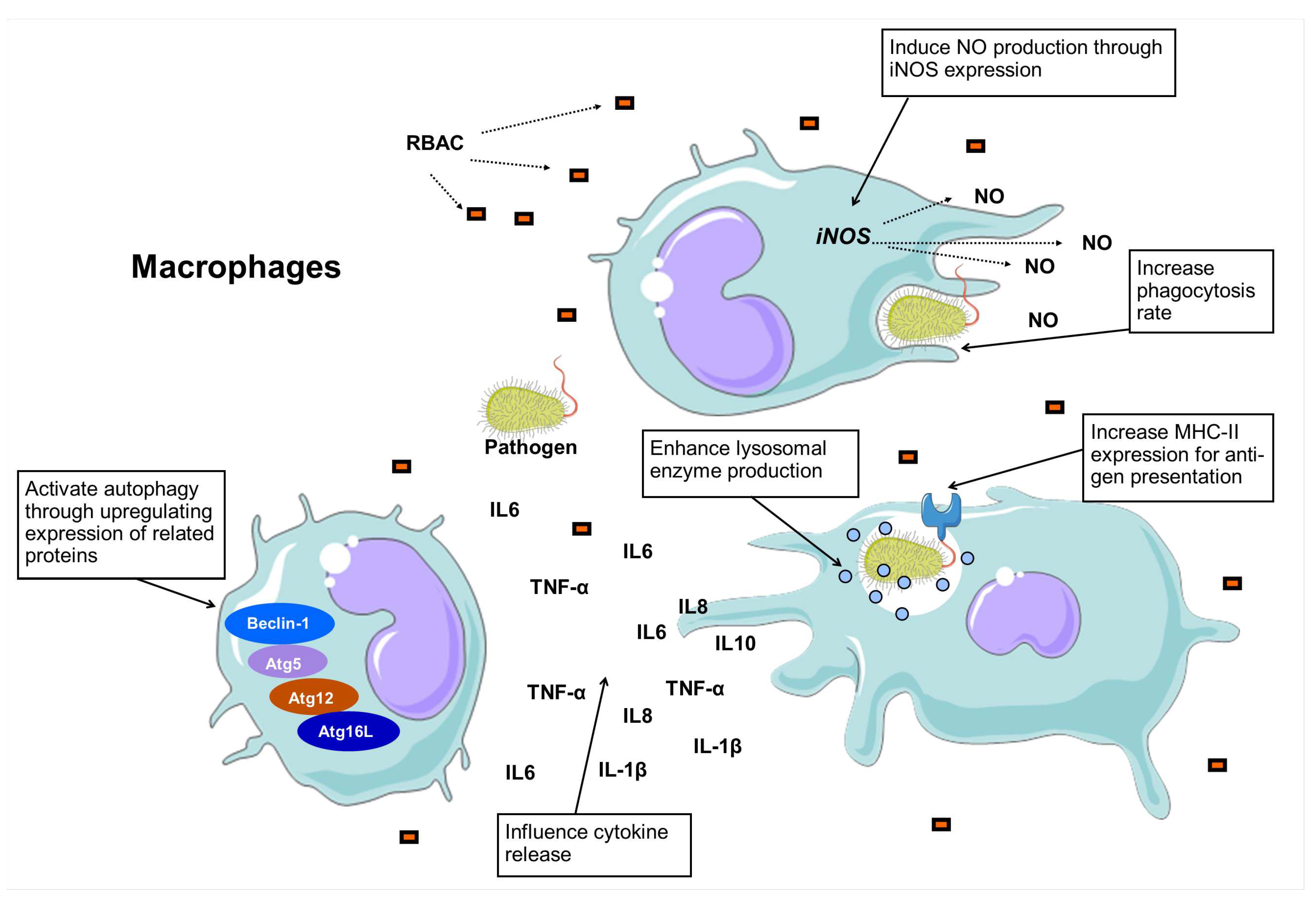 Preprints 78367 g003