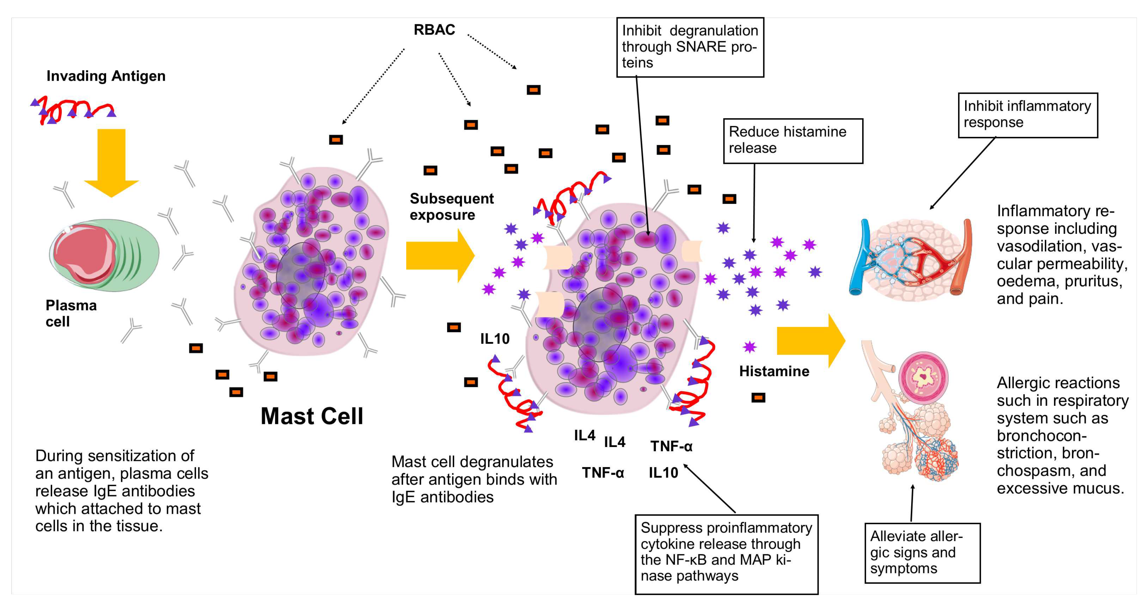 Preprints 78367 g006