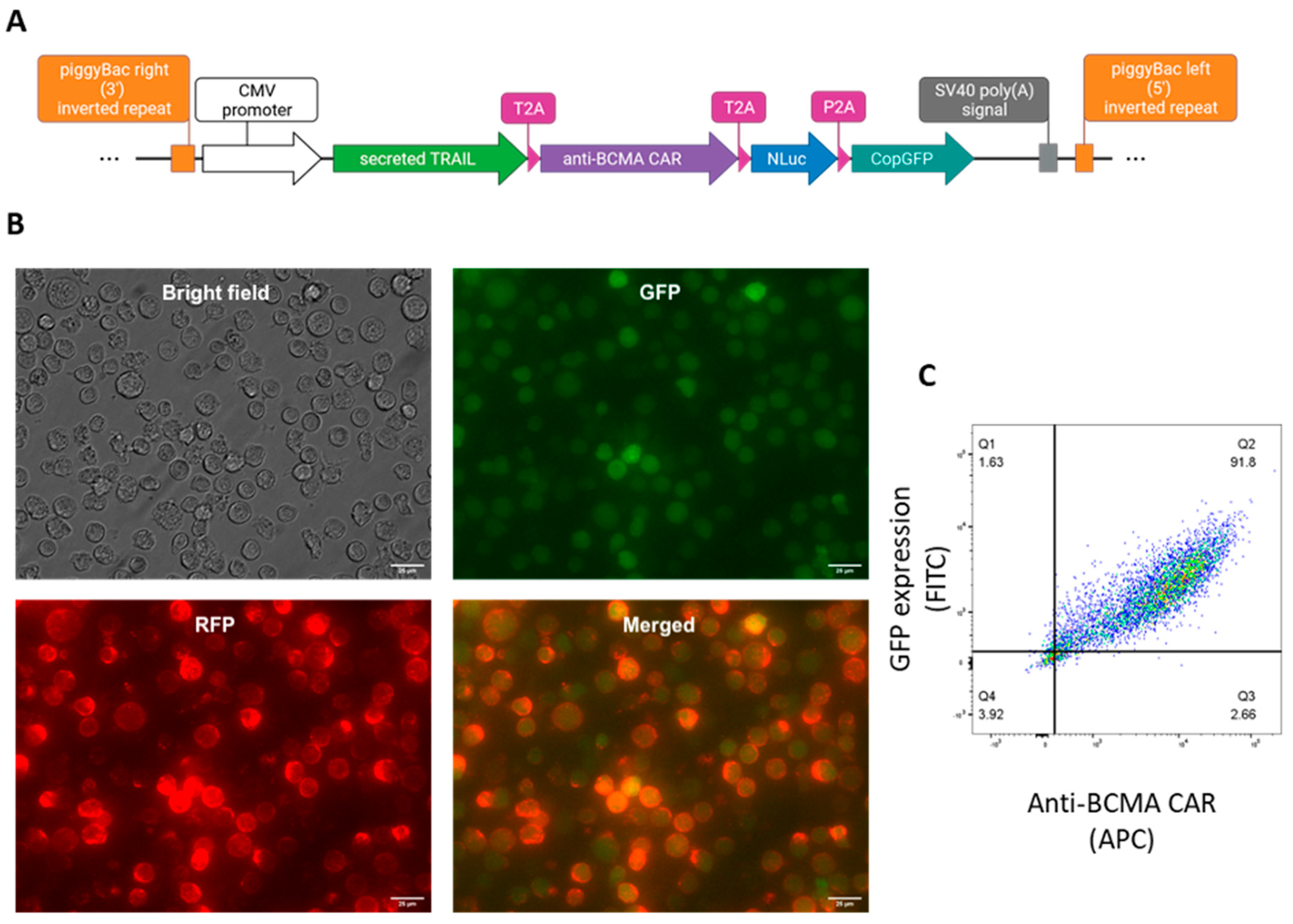 Preprints 82930 g001