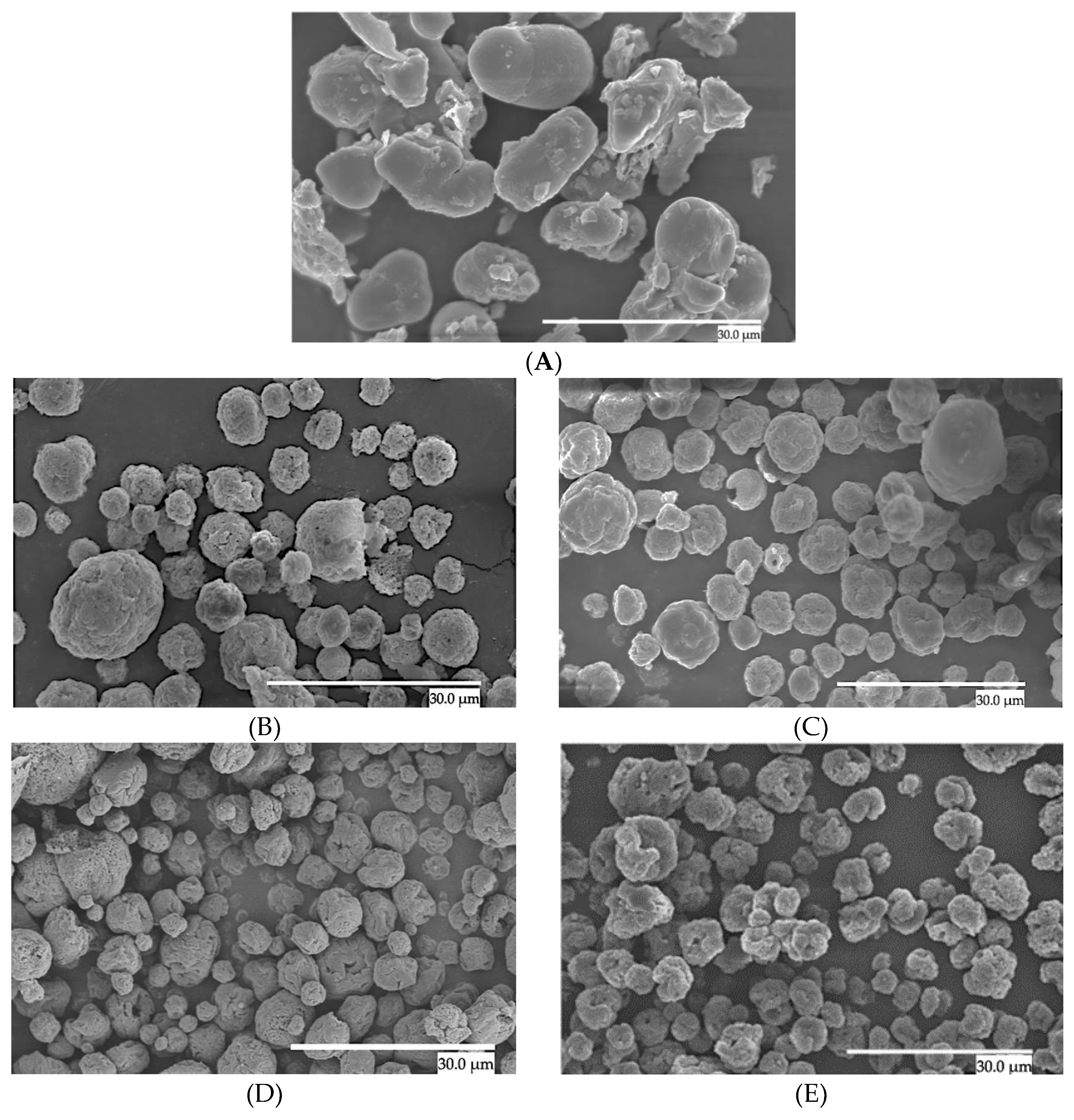 Preprints 116135 g001