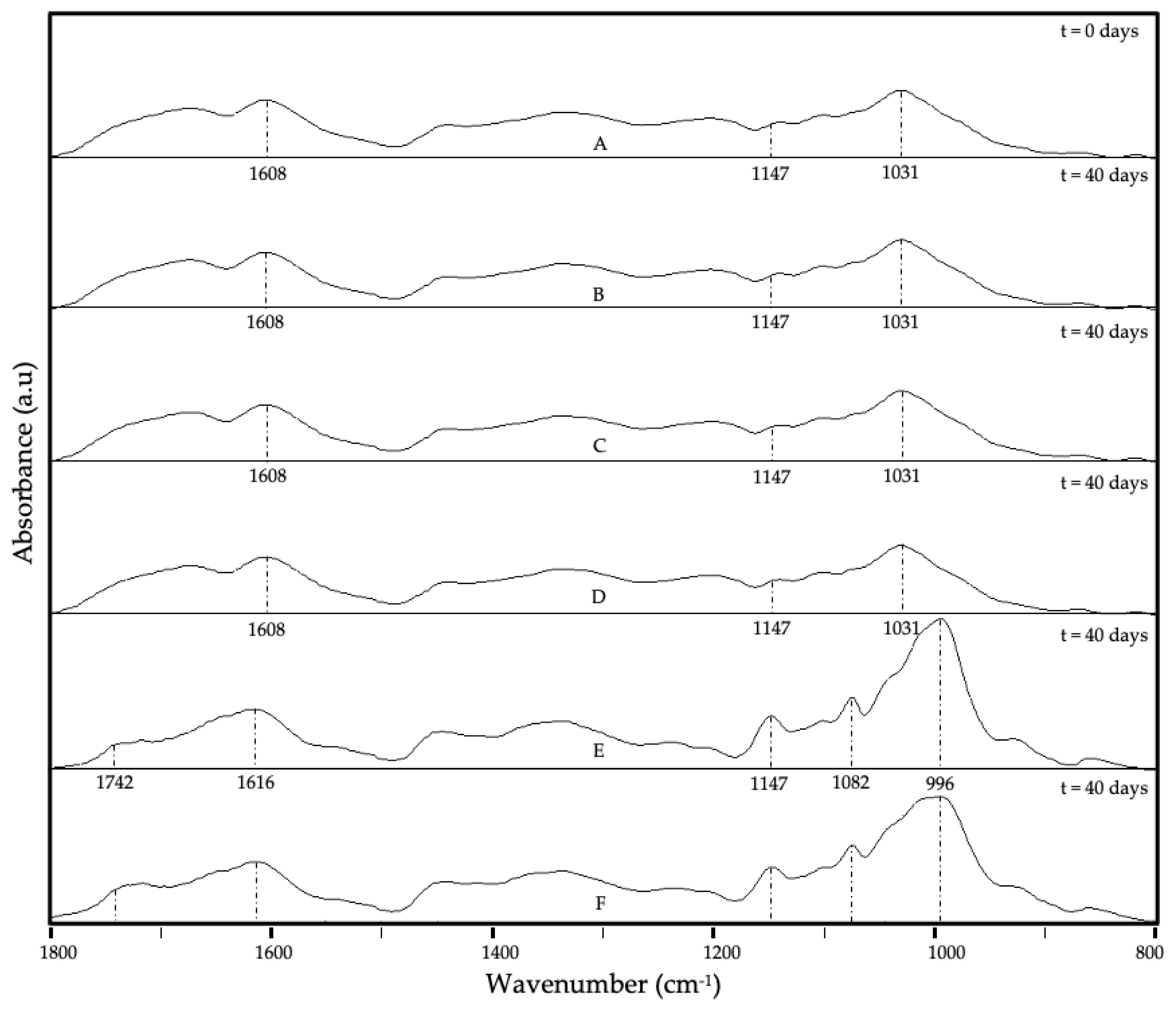 Preprints 116135 g005