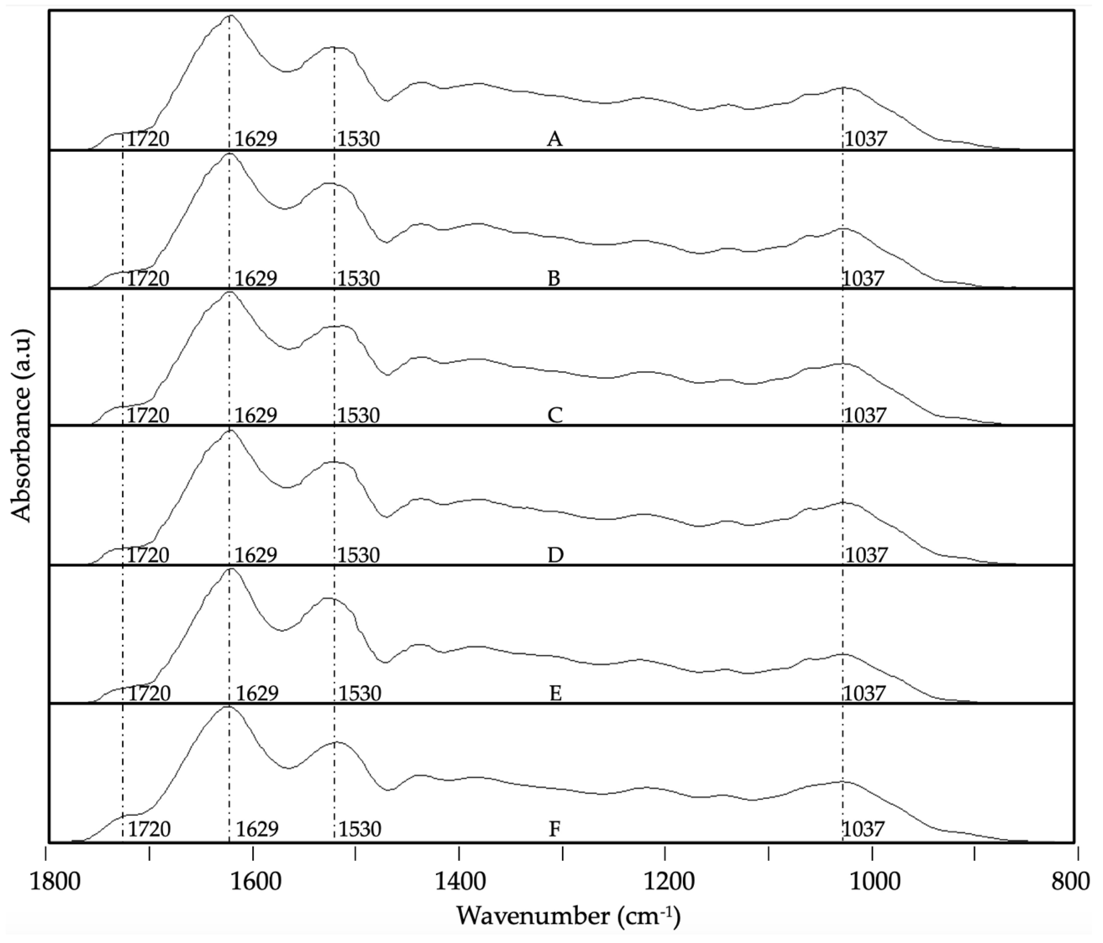 Preprints 116135 g007