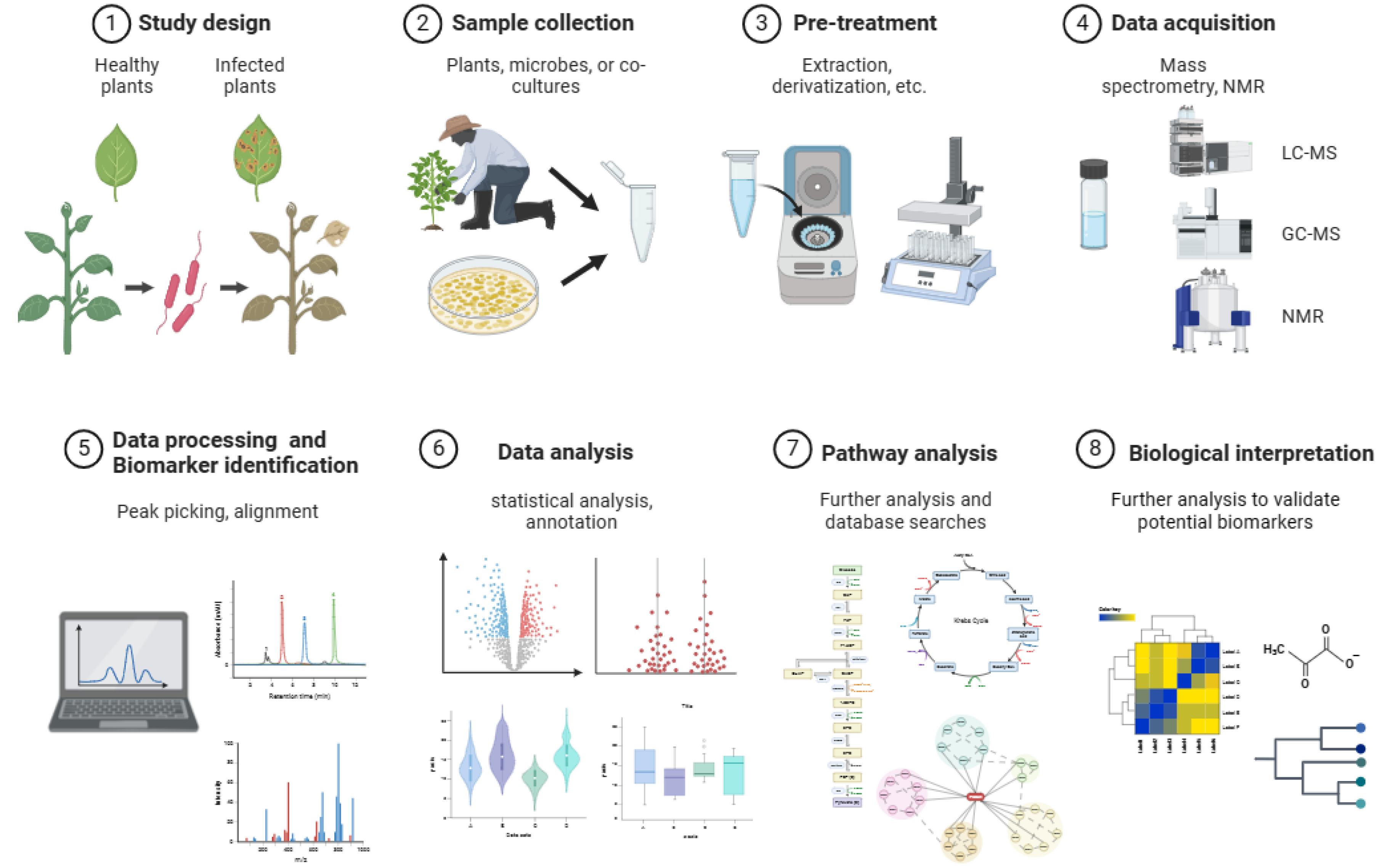 Preprints 108753 g002