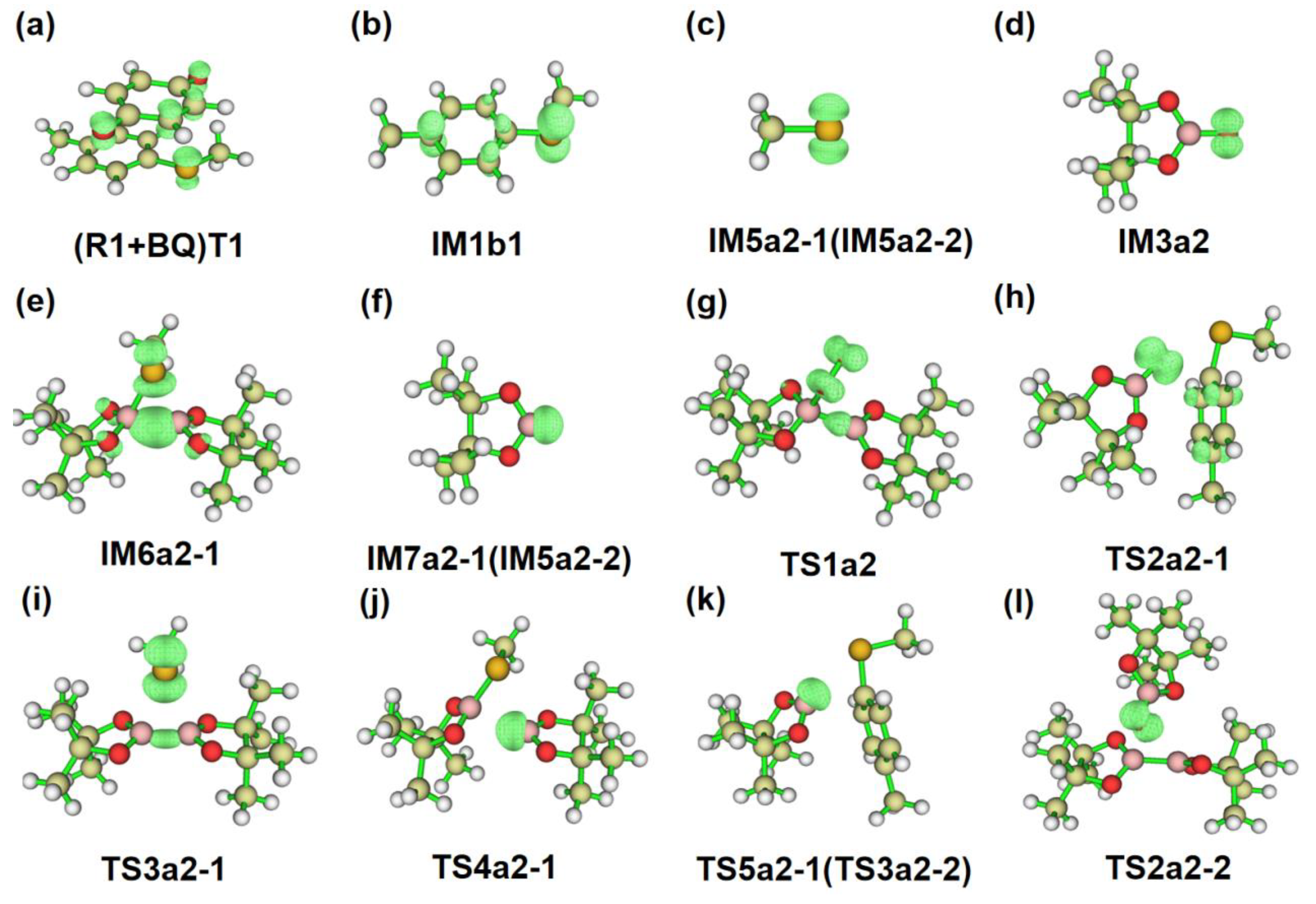 Preprints 113648 g005