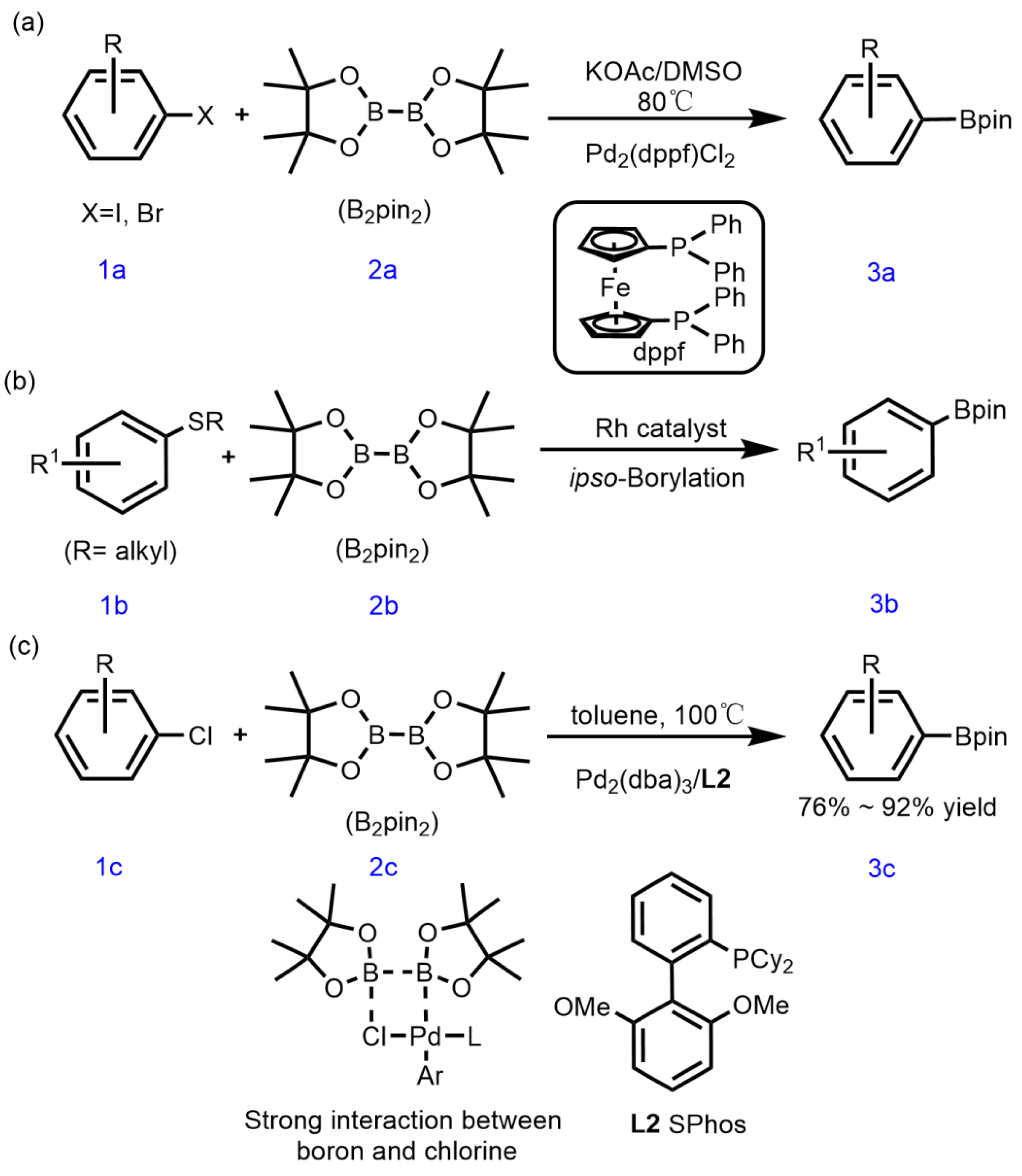 Preprints 113648 sch001