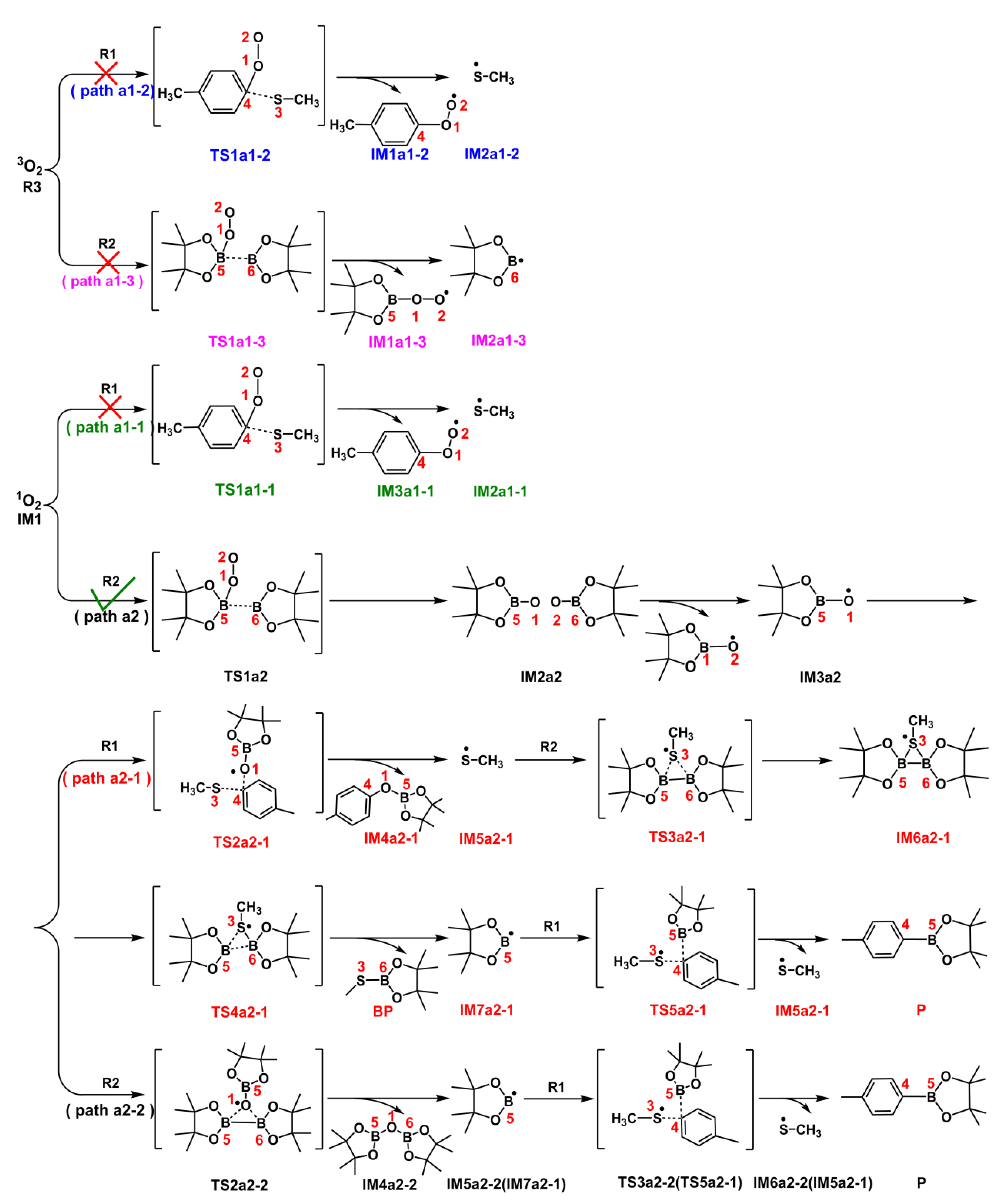 Preprints 113648 sch004