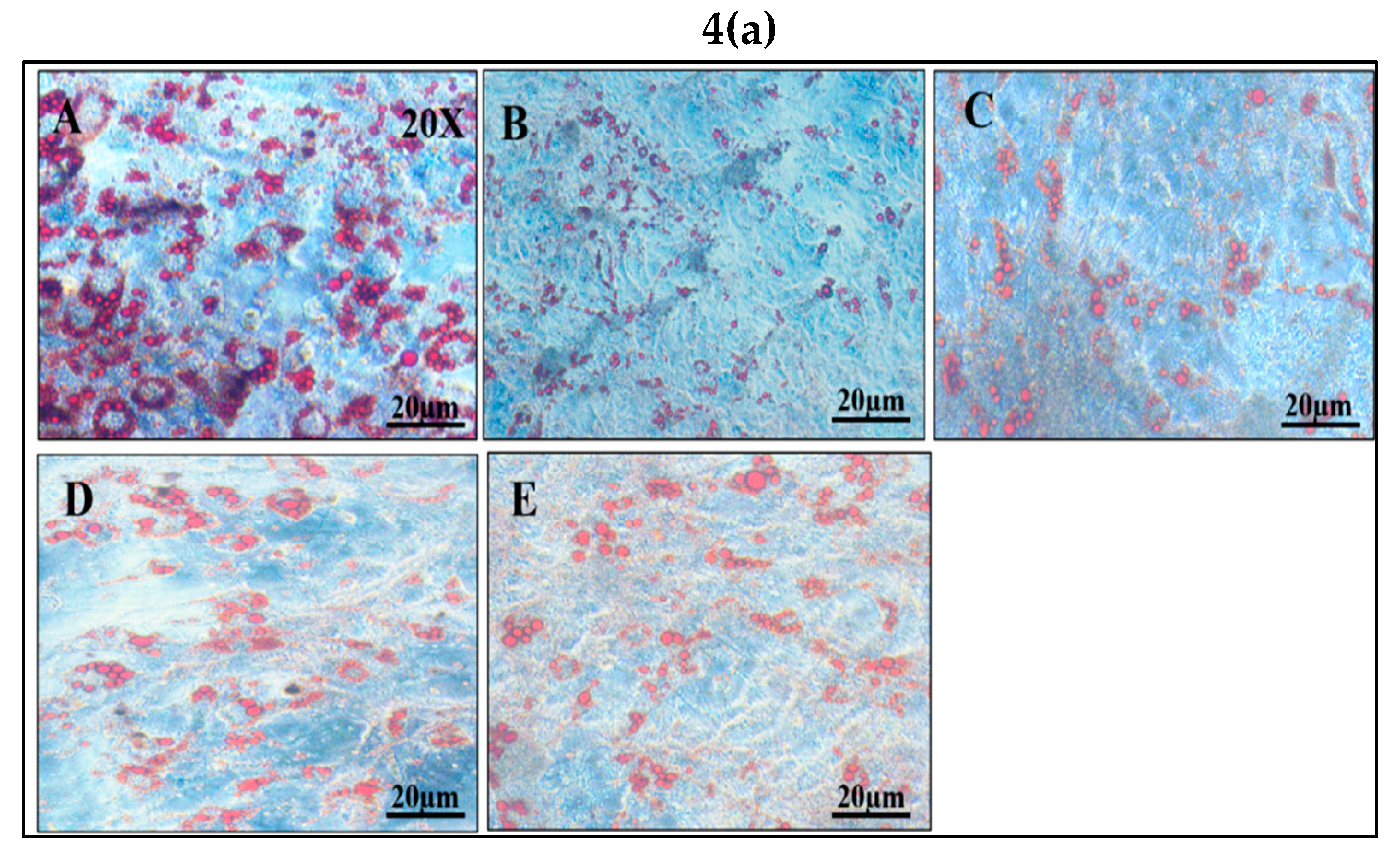 Preprints 75676 g004a