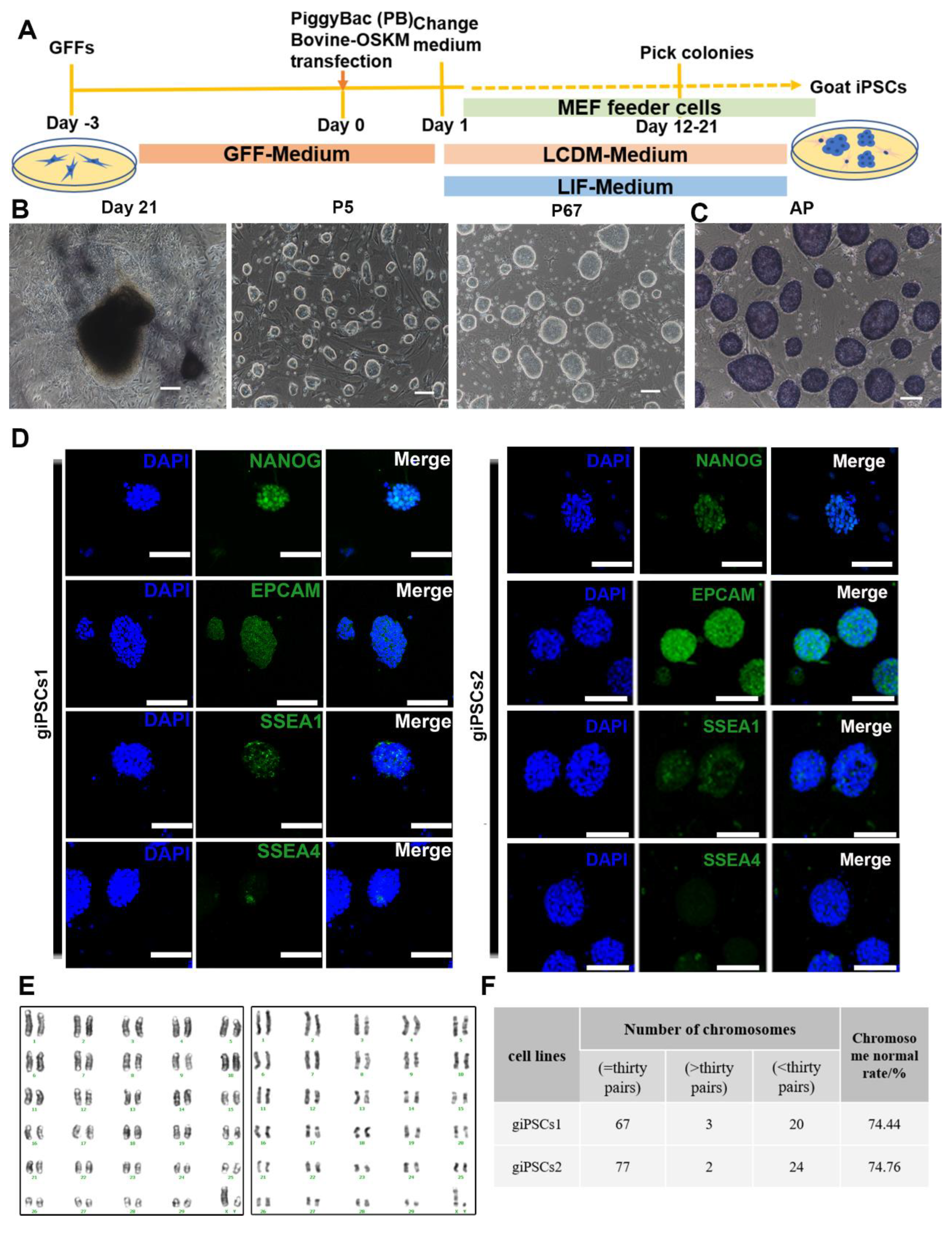 Preprints 83929 g001