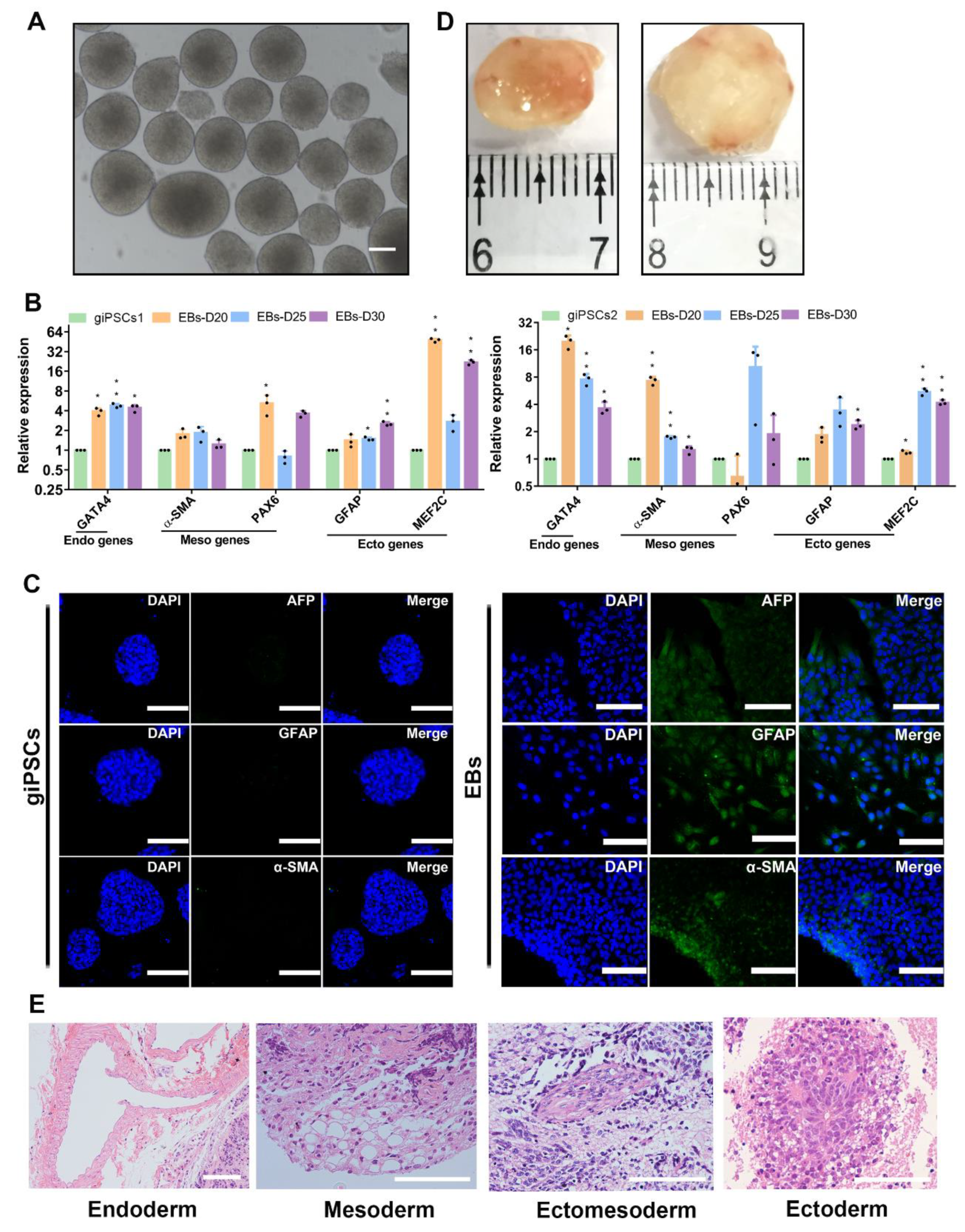 Preprints 83929 g002