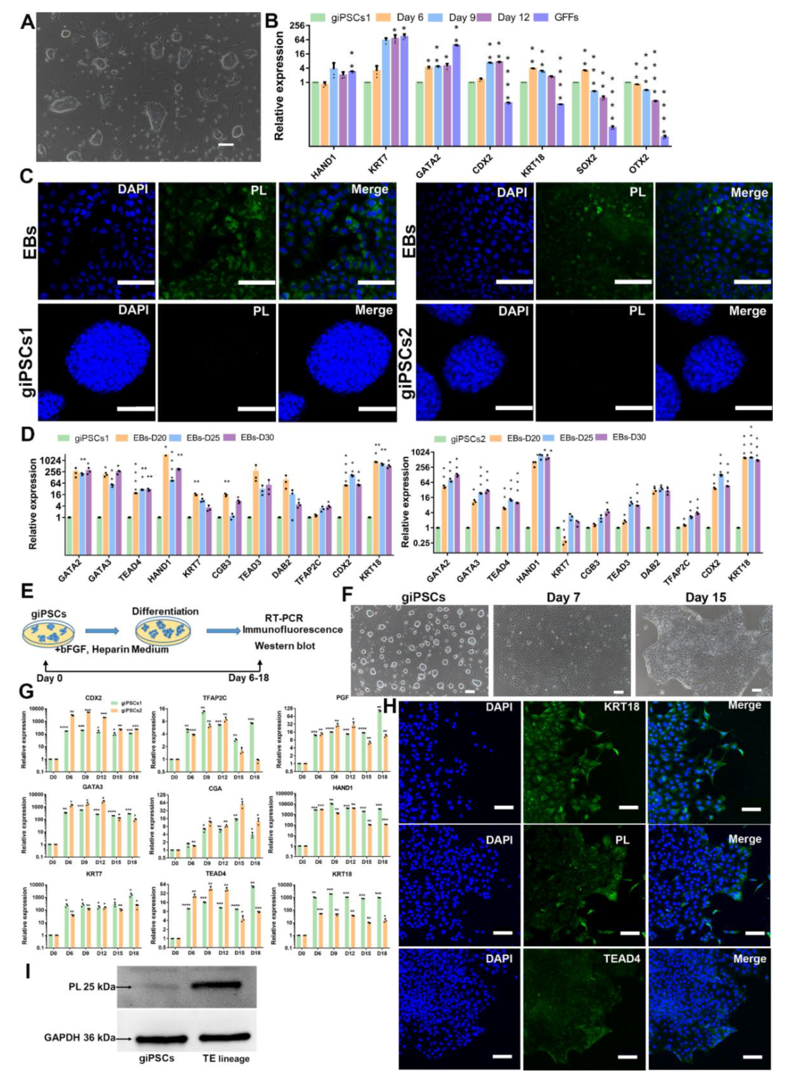 Preprints 83929 g003