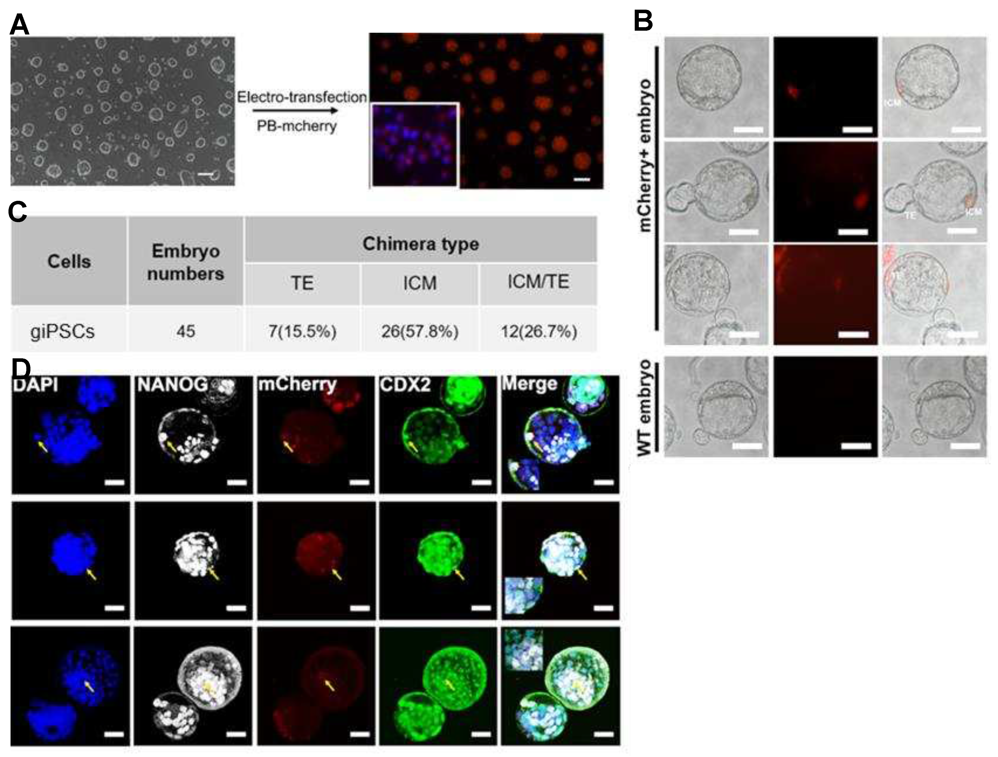 Preprints 83929 g004