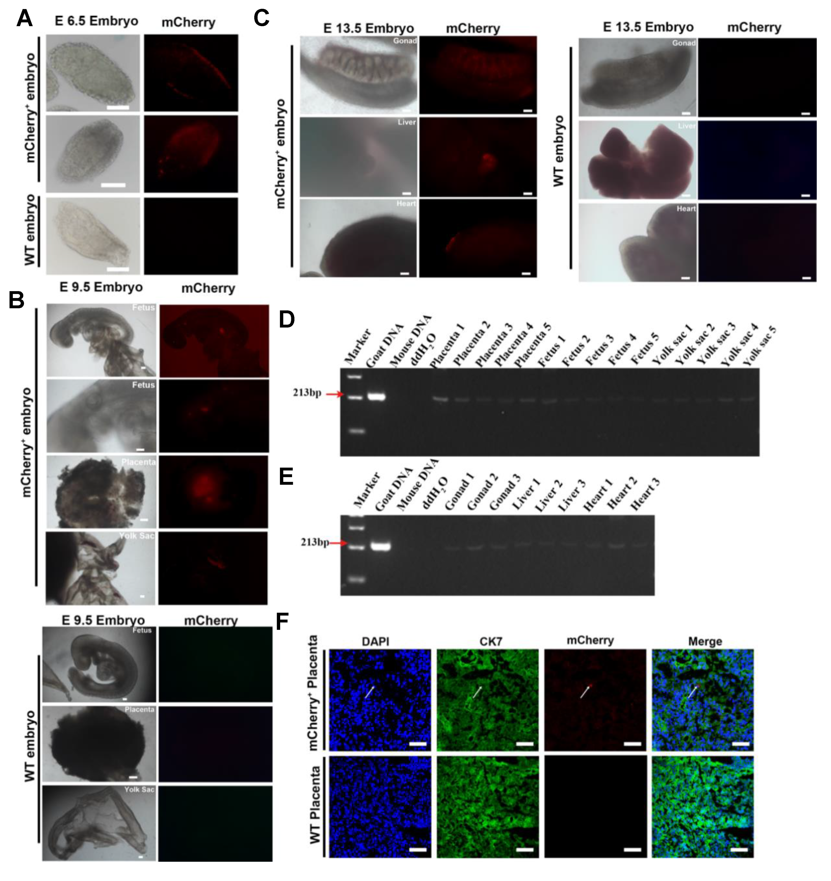 Preprints 83929 g005