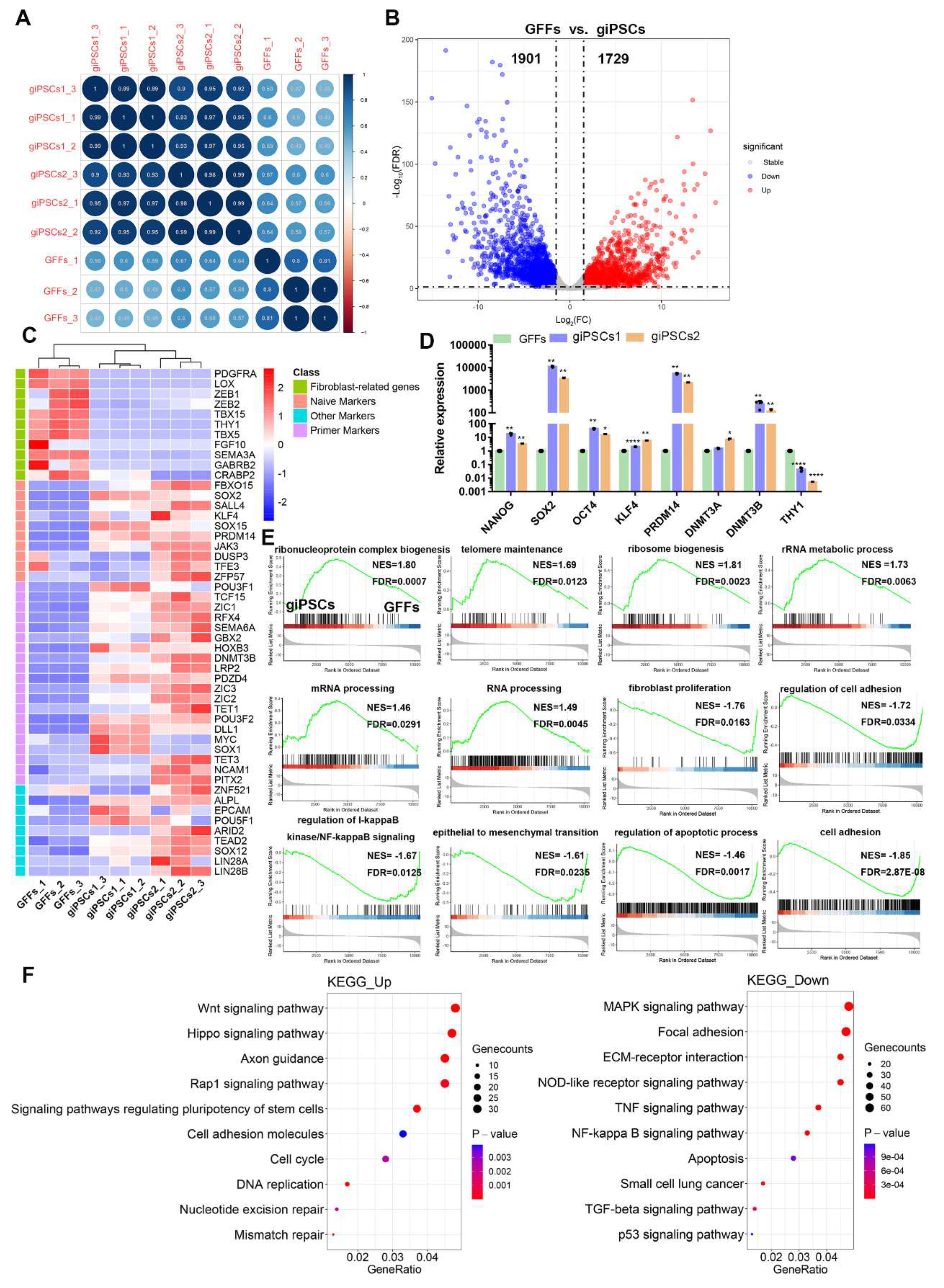 Preprints 83929 g006