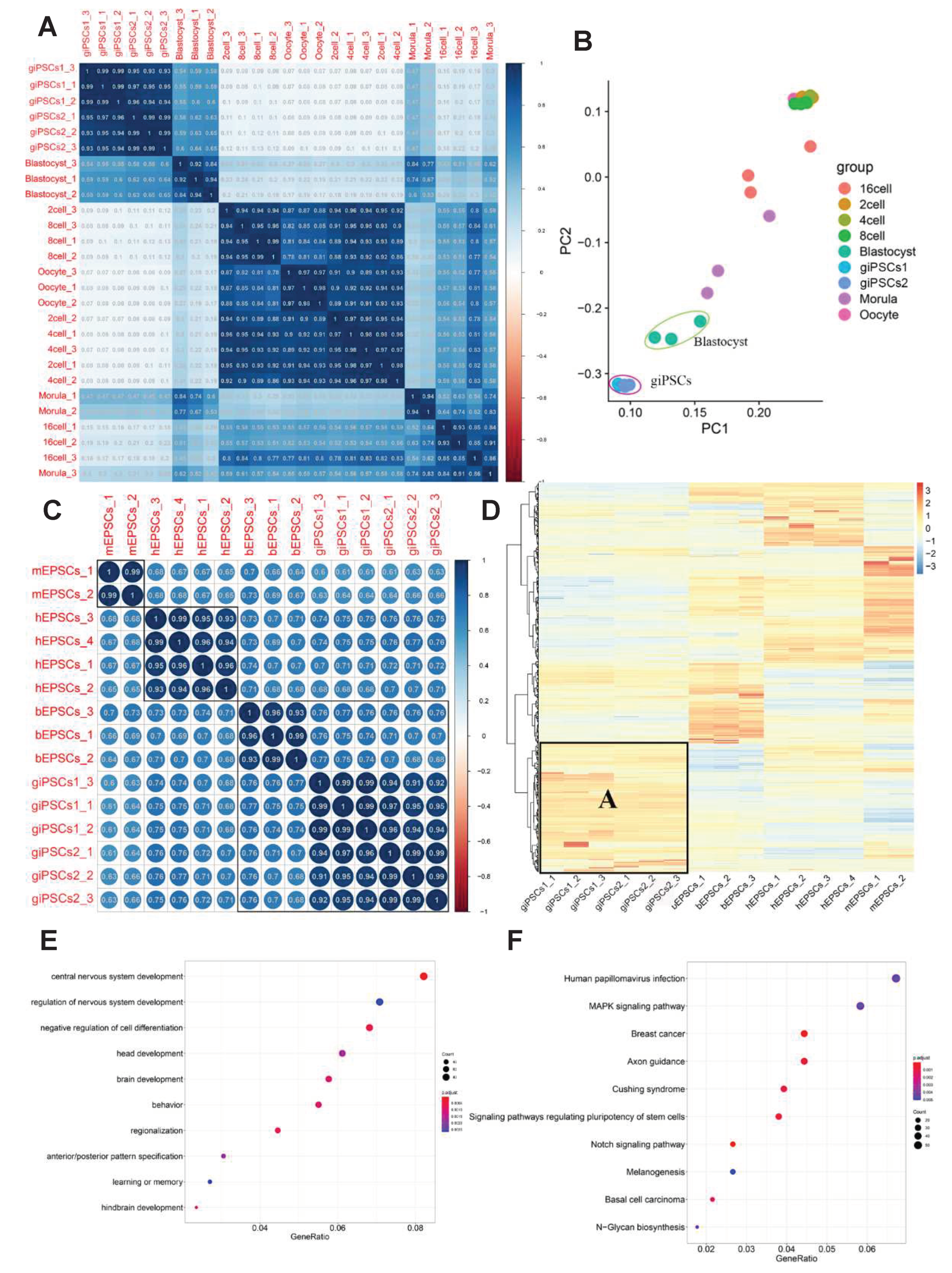 Preprints 83929 g007